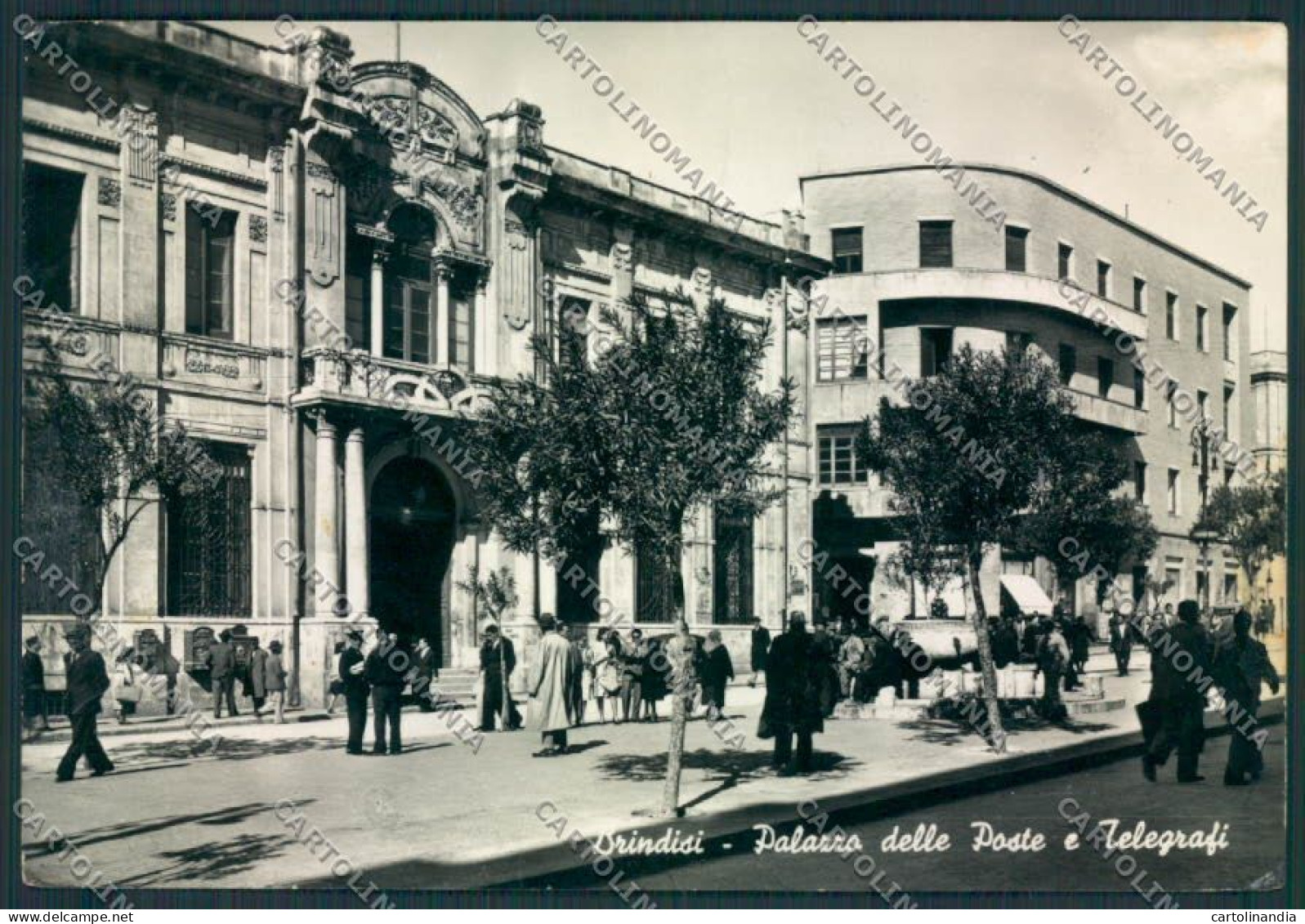 Brindisi Città Poste Foto FG Cartolina MV5227 - Brindisi