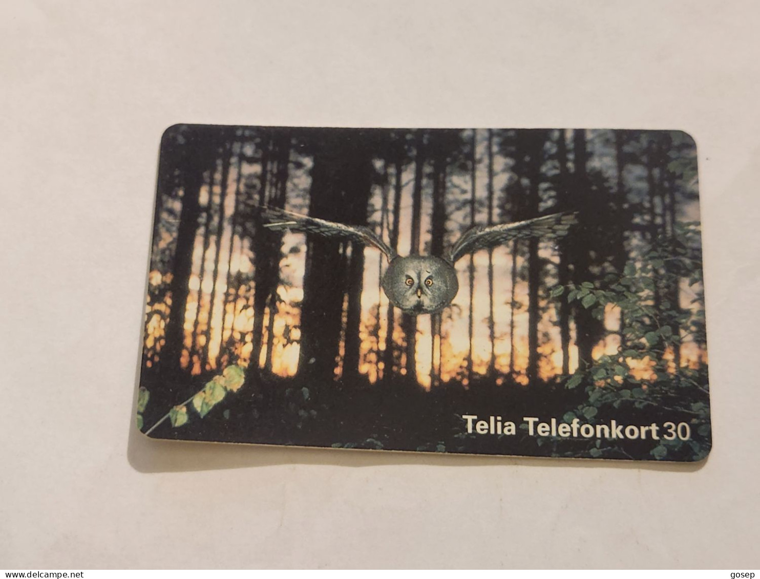 SWEDEN-(SE-TEL-030-0094)-Bird 1 Lapland OWL-(13)(Telefonkort 30)(tirage-100.000)(C5A153831)-used Card+1card Prepiad Free - Schweden