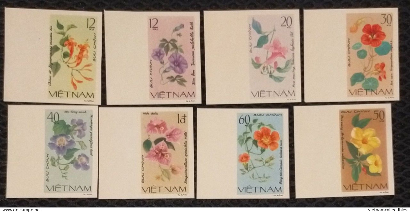 Vietnam Viet Nam MNH Imperf Stamps 1980 : Creeping Flowers / Flower (Ms374) - Viêt-Nam