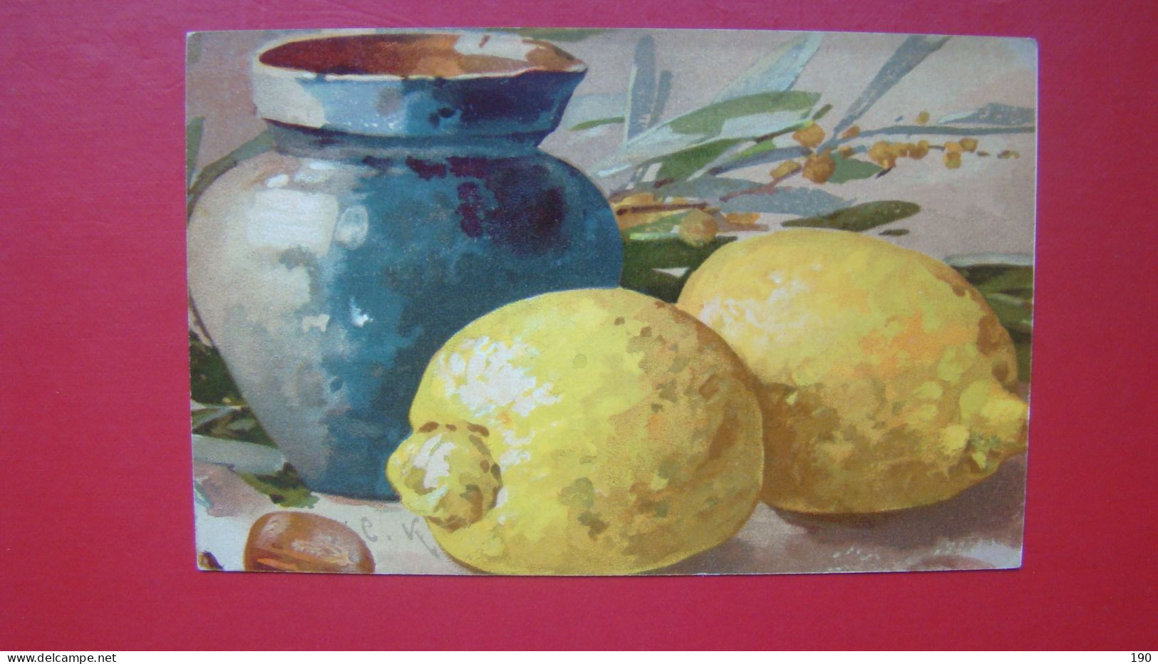 Catharina Klain:Lemons. - Klein, Catharina