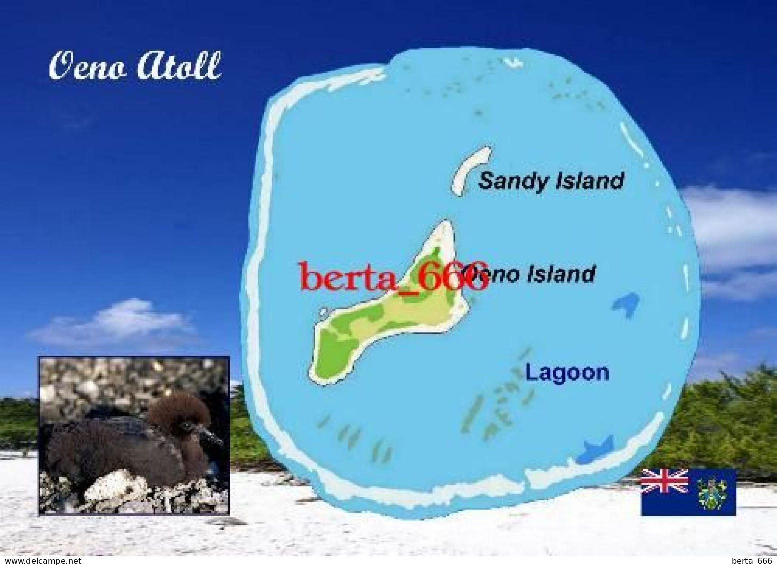 Pitcairn Oeno Atoll Map New Postcard * Carte Geographique * Landkarte - Islas Pitcairn