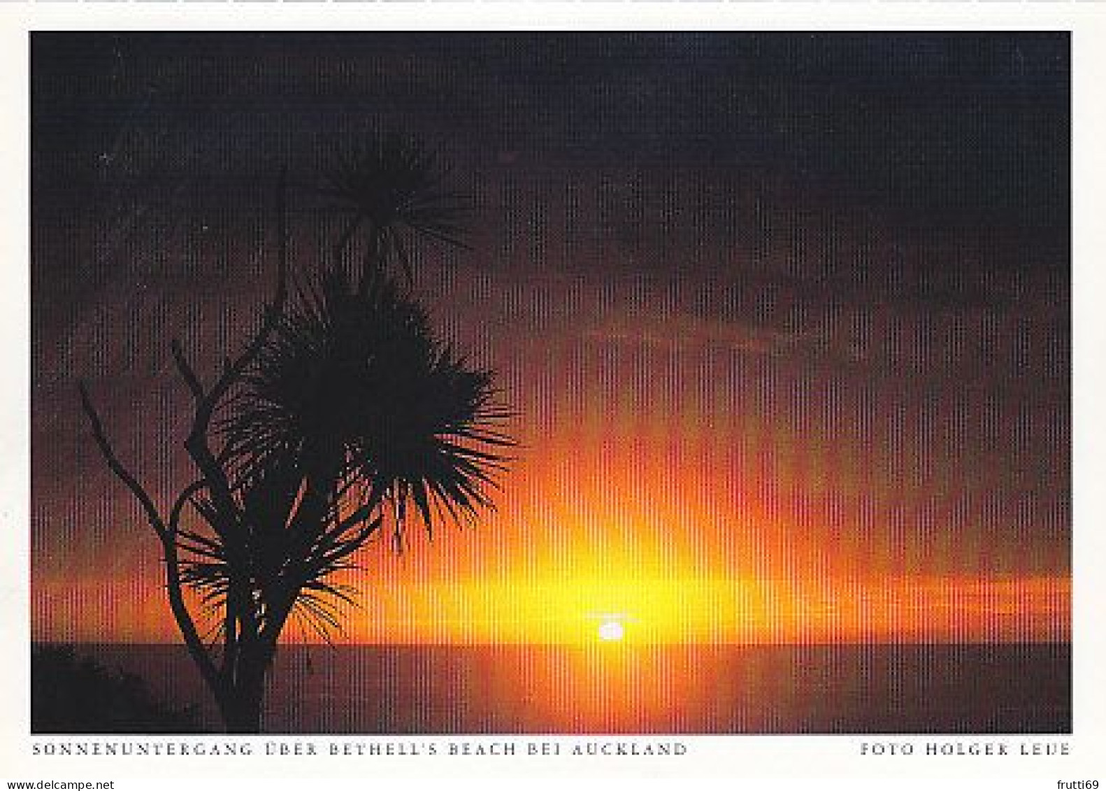 AK 212789 NEW ZEALAND - Sonnenuntergang über Bethell's Beach Bei Auckland - Nouvelle-Zélande