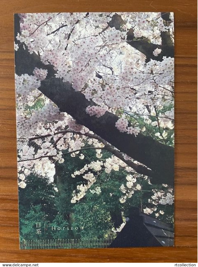 China Postal Card Postcard Travel Cherry Blossom Tree Japan Tourism Trees Flowers Flora Flower - Arbres