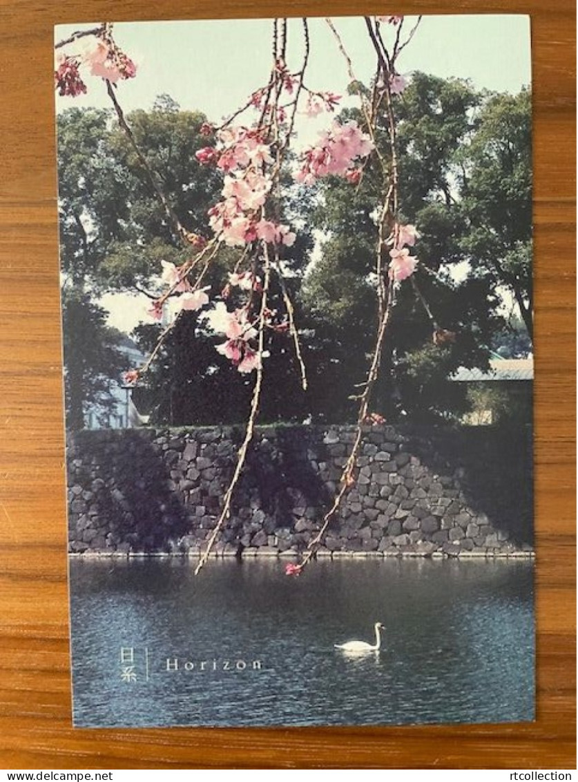 China Postal Card Postcard Travel Cherry Blossom Tree Lake Swan Japan Tourism Trees Flowers Flora Flower Animals Bird - Arbres