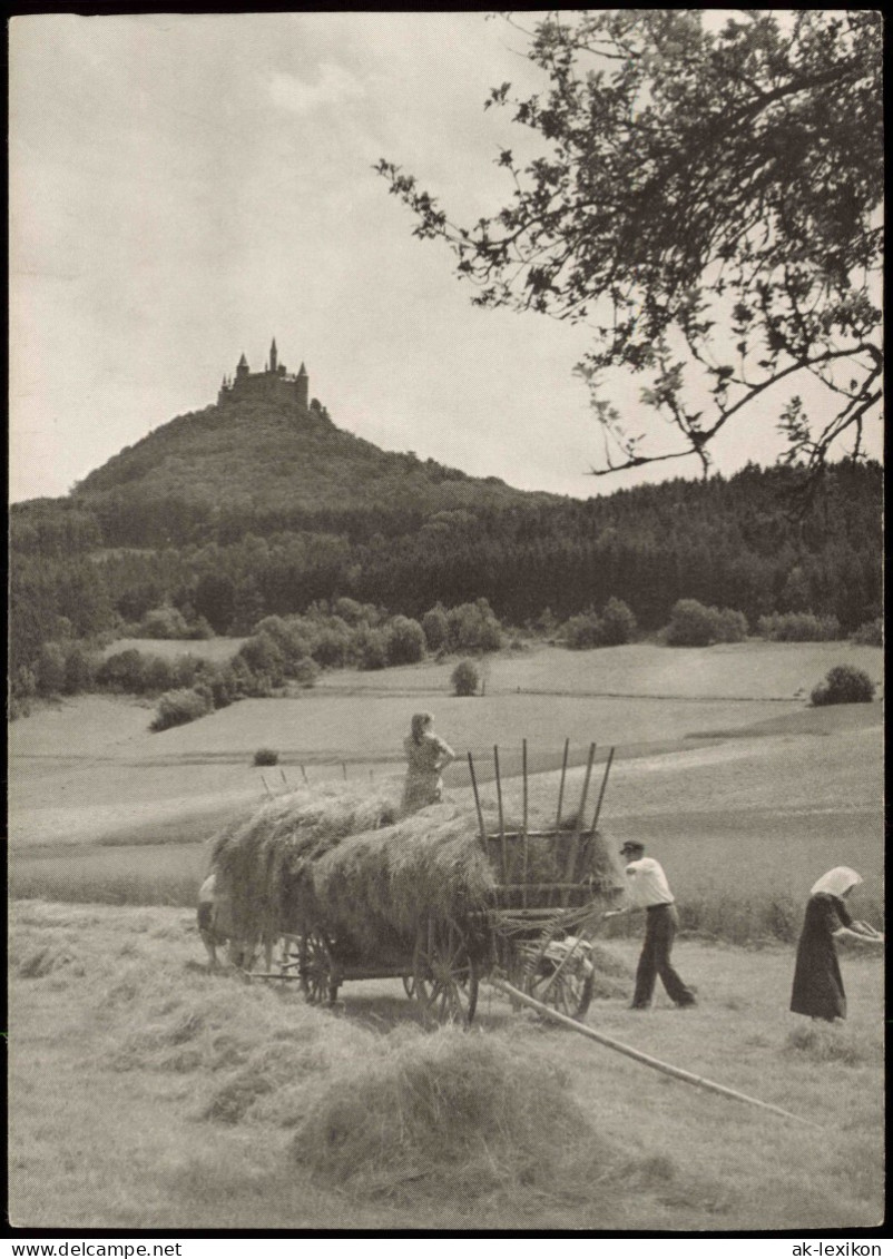 Ansichtskarte Hechingen Heuernte Burg Hohenzollern 1959 - Hechingen