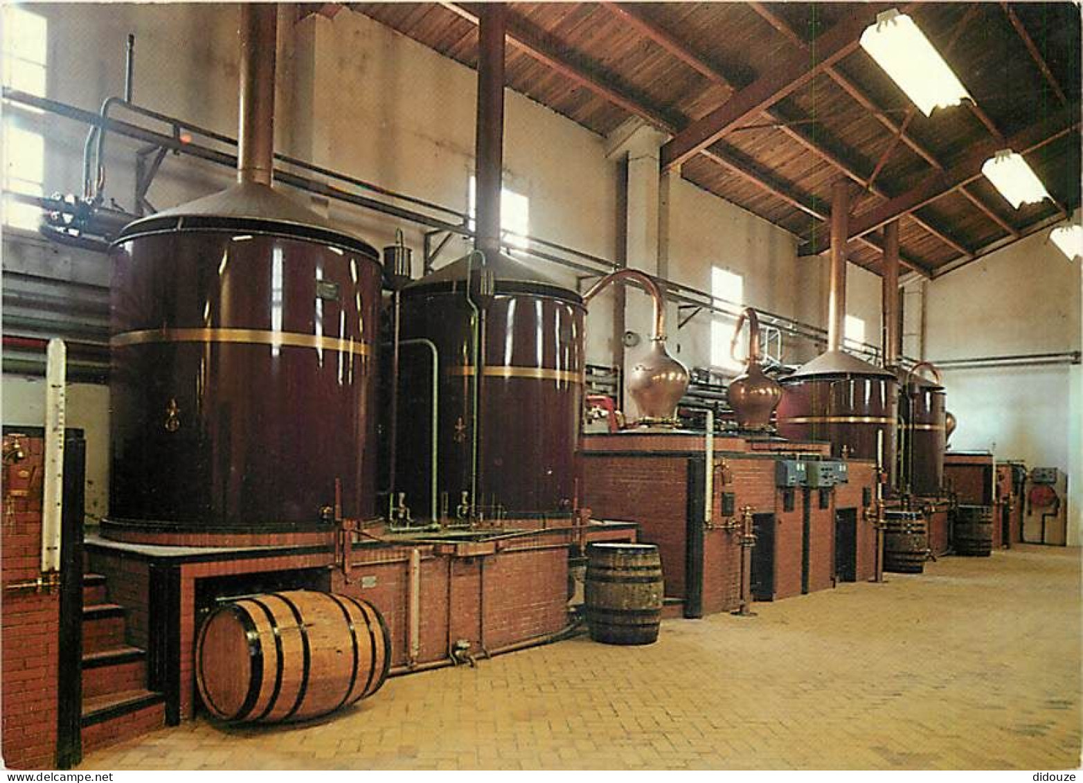 Vignes - Mosnac - Distillerie Unicognac - CPM - Carte Neuve - Voir Scans Recto-Verso - Vignes