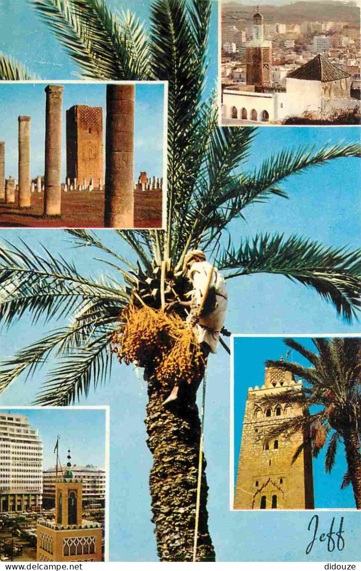 Maroc - Marrakech - Multivues - CPM Format CPA - Carte Neuve - Voir Scans Recto-Verso - Marrakesh