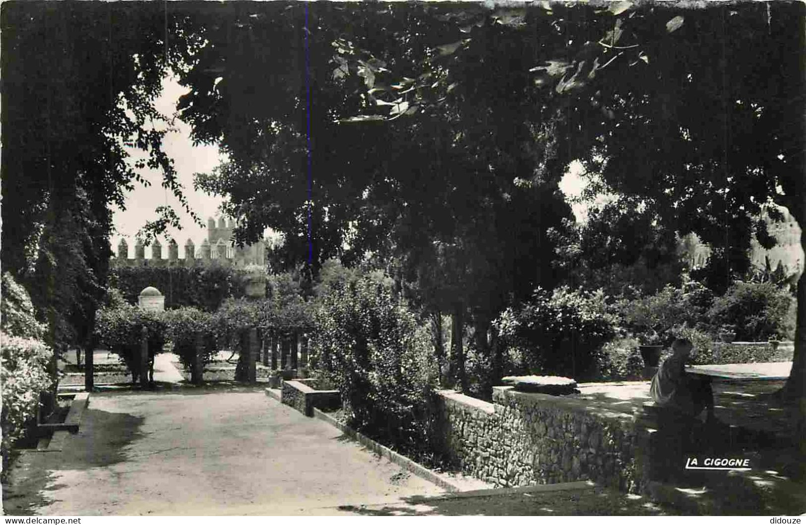 Maroc - Rabat - Les Oudaias - Mention Photographie Véritable - Carte Dentelée - CPSM Format CPA - Voir Scans Recto-Verso - Rabat