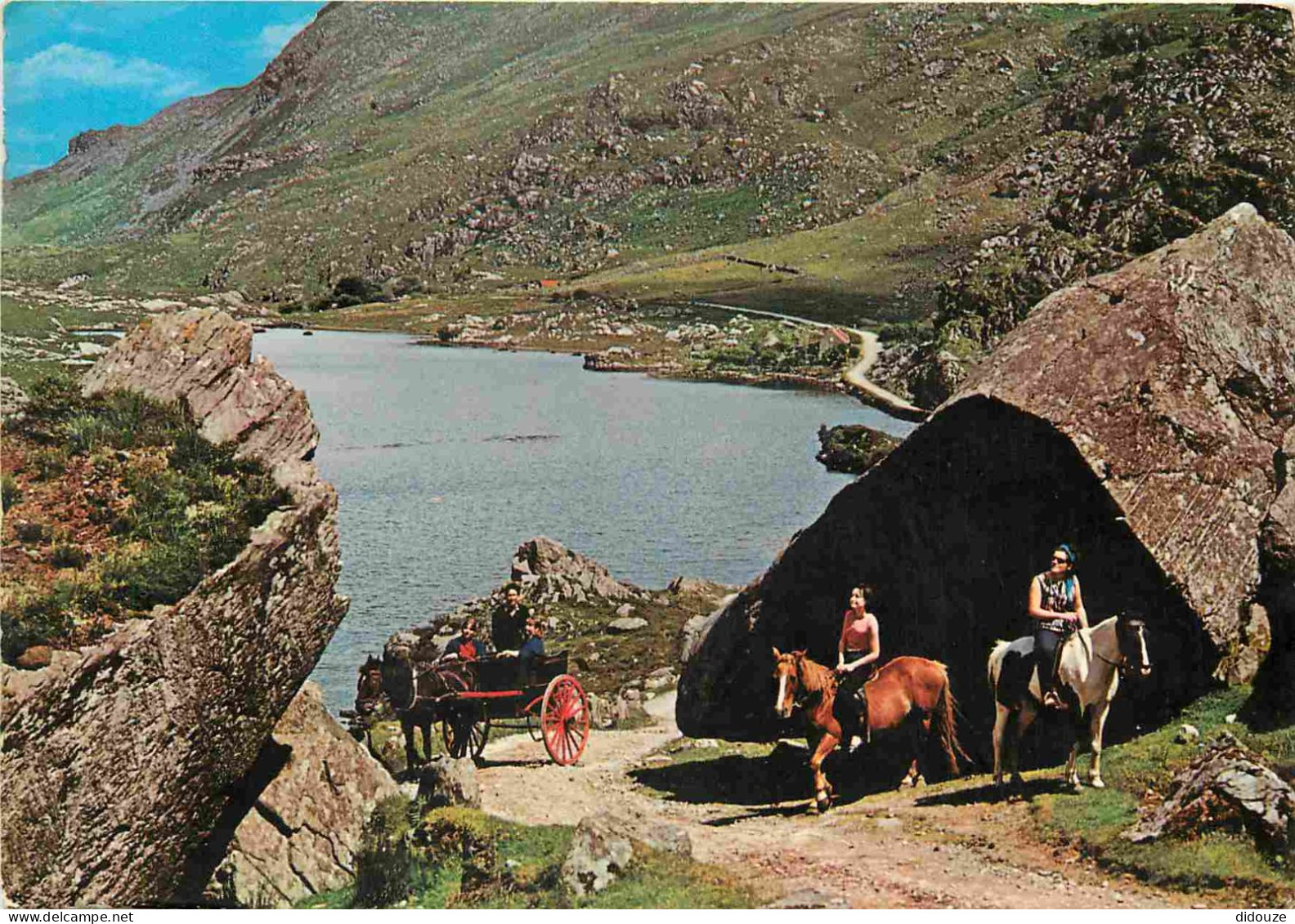 Irlande - Kerry - Killarney - Gap Of Dunloe - Attelage De Chevaux - CPM - Voir Scans Recto-Verso - Kerry