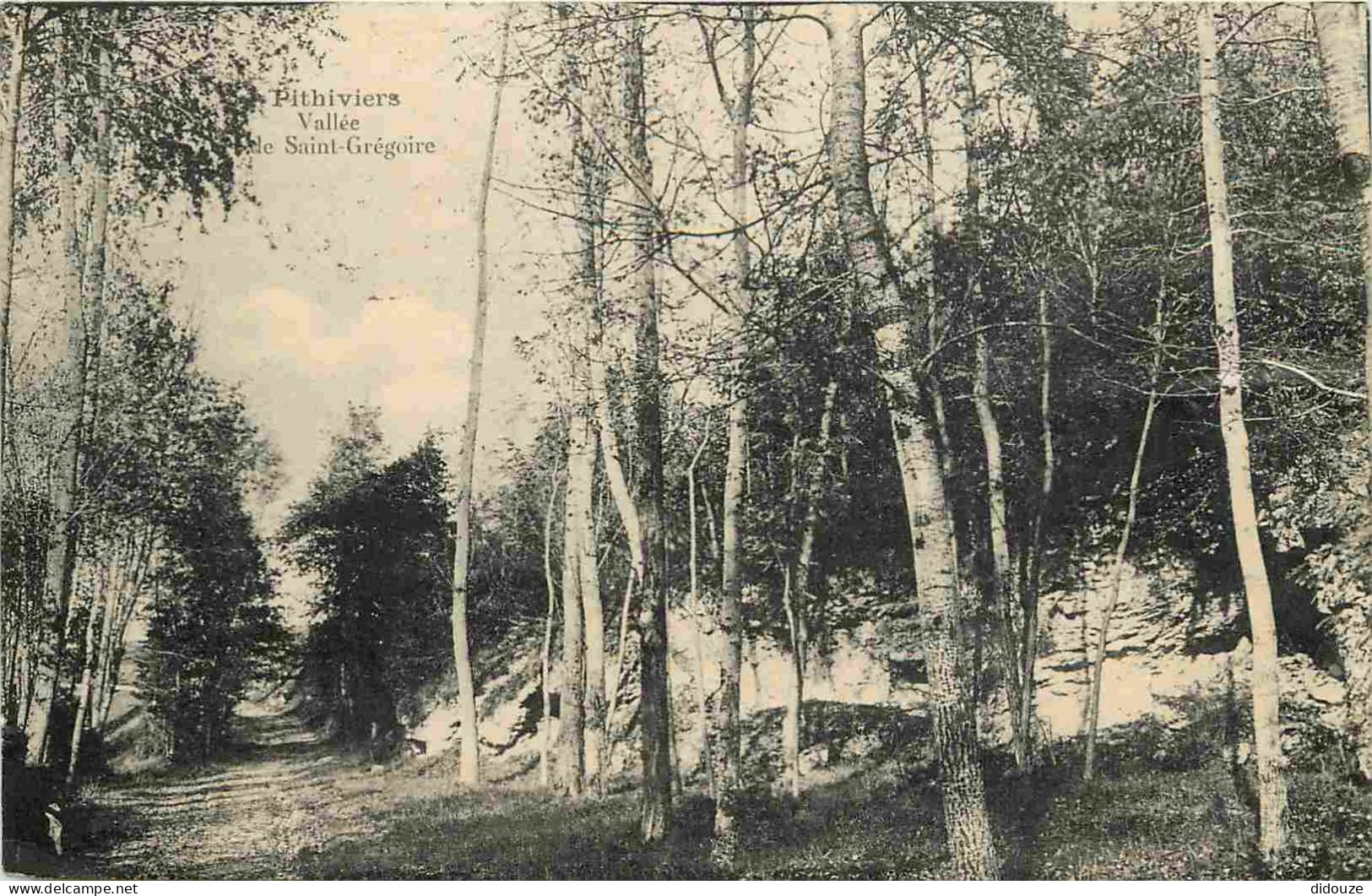 45 - Pithiviers - Vallée De Saint Grégoire - CPA - Oblitération Ronde De 1922 - Voir Scans Recto-Verso - Pithiviers