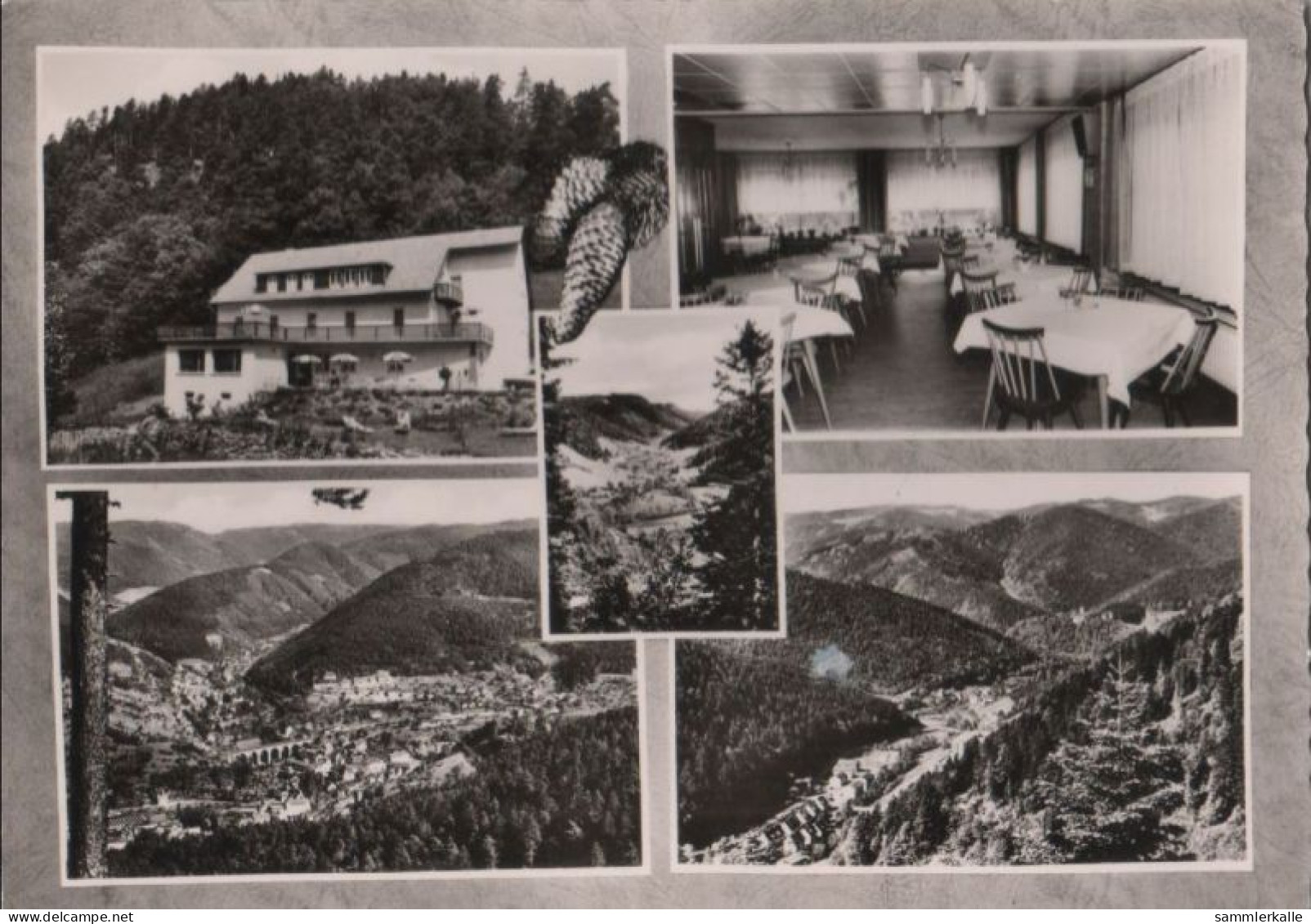 55475 - Hornberg - Gasthaus Schondelgrund - 1968 - Hornberg