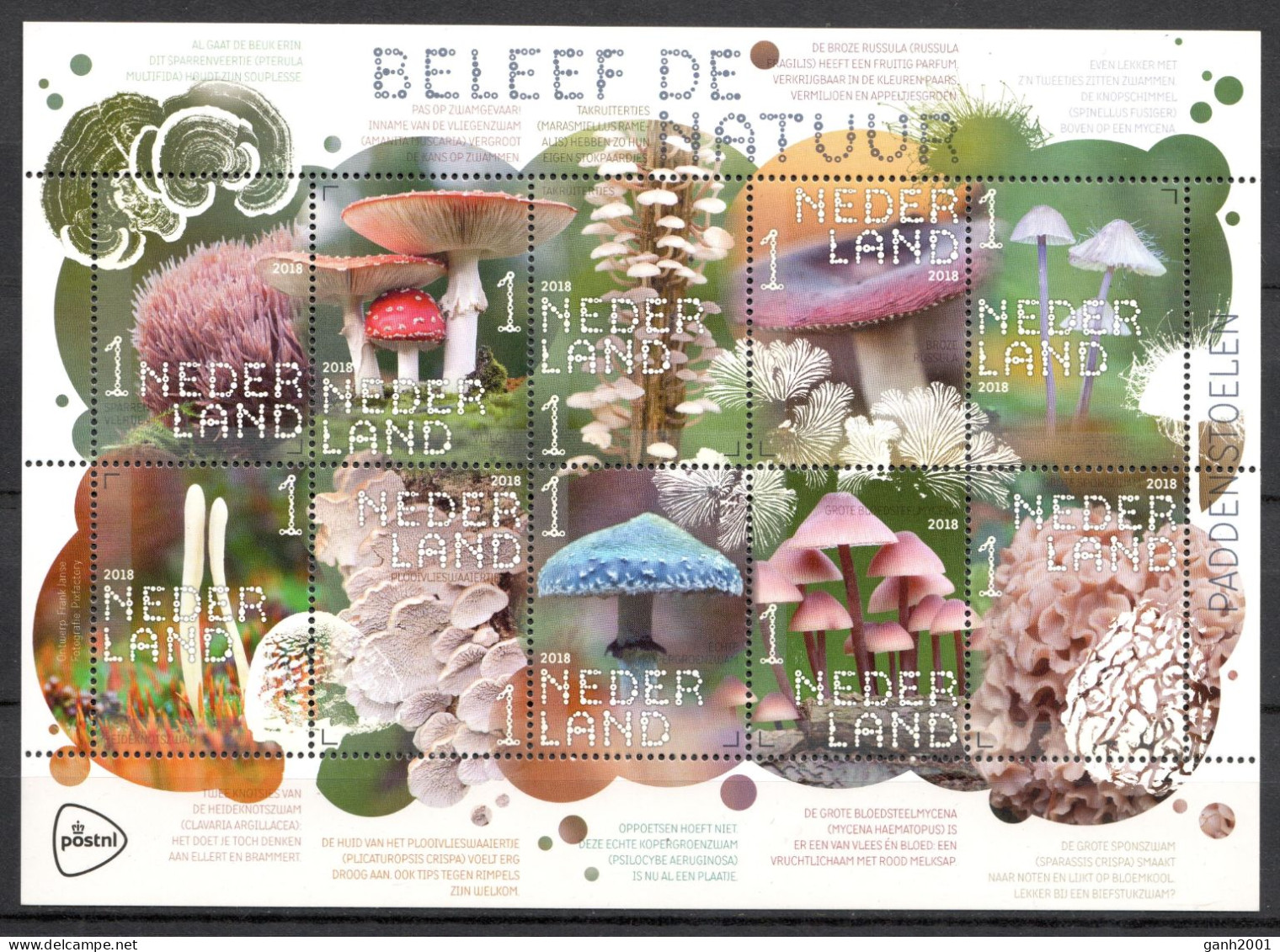 The Netherlands 2018 Países Bajos / Mushrooms MNH Fungi Champignons Setas Pilze / Cu22128  27-22 - Mushrooms