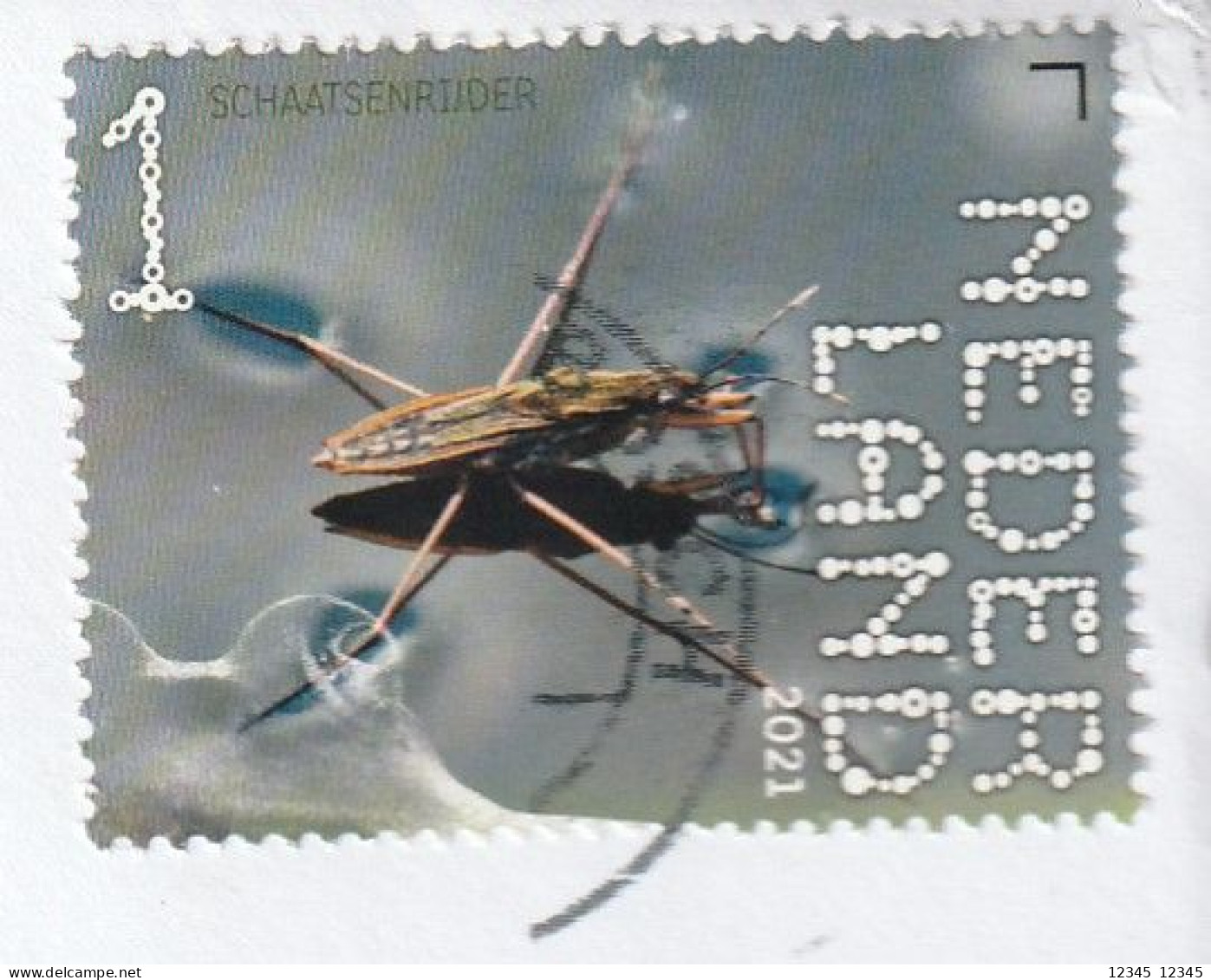 Nederland 2021, Gestempeld USED, Insects - Usati