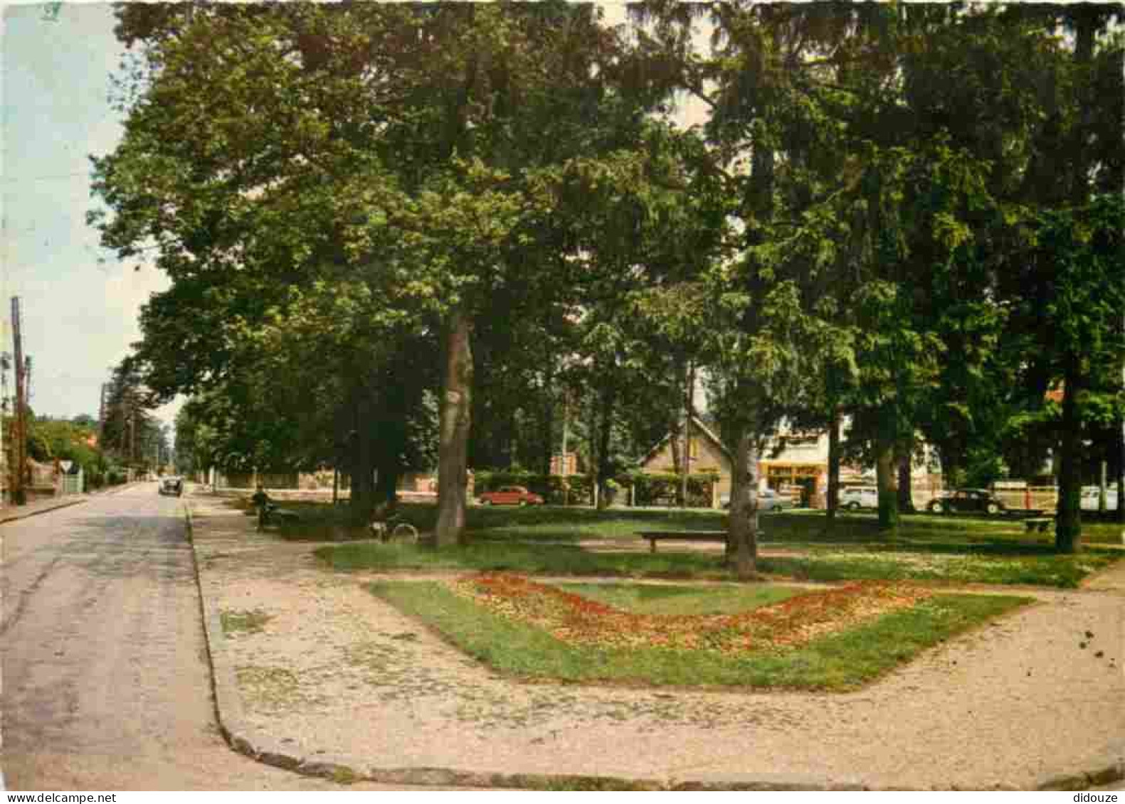 91 - Morsang Sur Orge - La Place Des Tilleuls - Carte Dentelée - CPSM Grand Format - Voir Scans Recto-Verso - Morsang Sur Orge