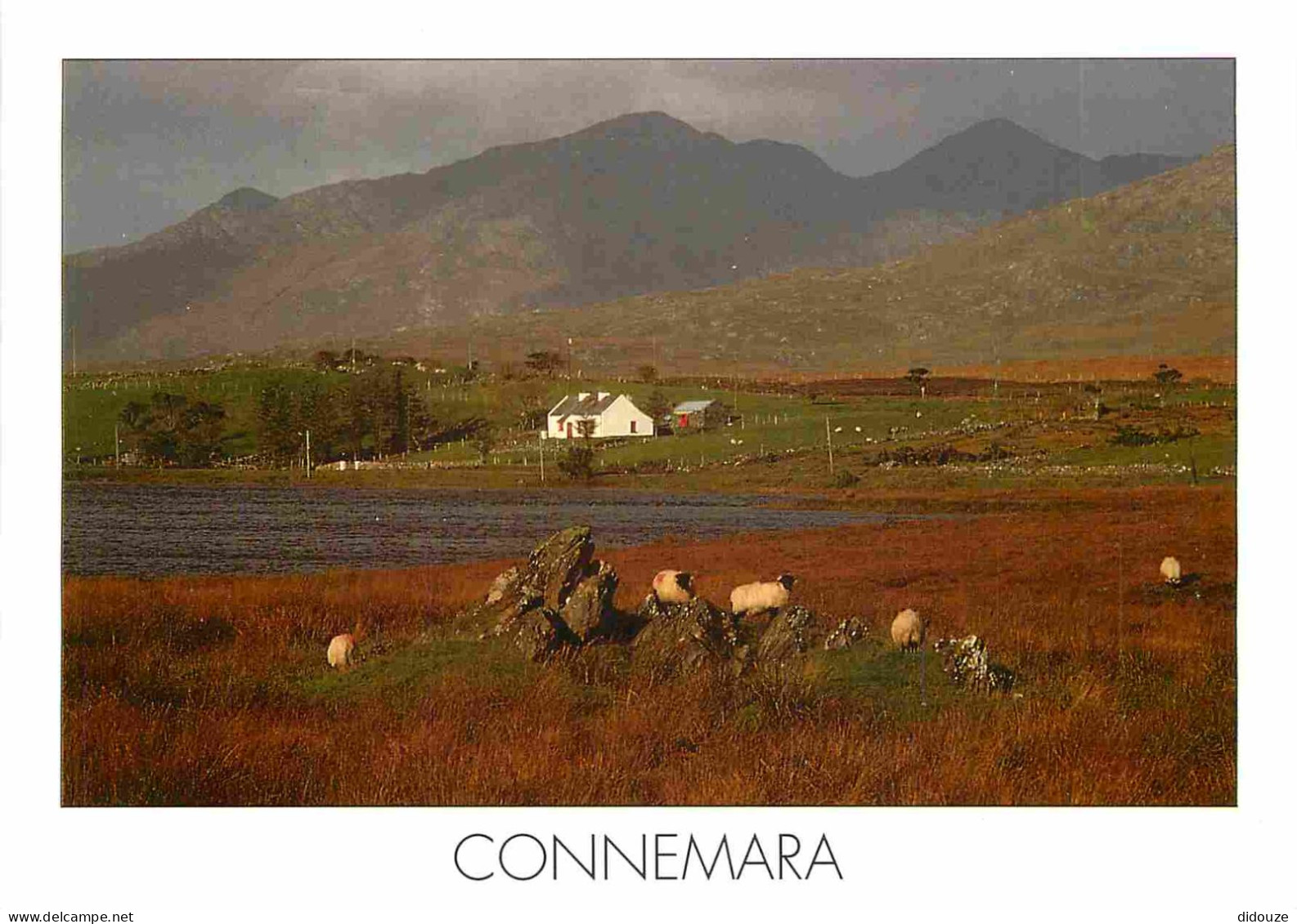 Irlande - Galway - Connemara - Views From The Peaks Of These Mountains Take In Striking Landscopes Of Lake Moorland Ond  - Galway