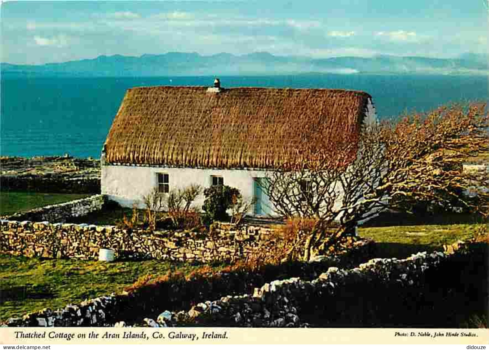 Irlande - Galway - Irish Thatched Cottage - CPM - Voir Scans Recto-Verso - Galway