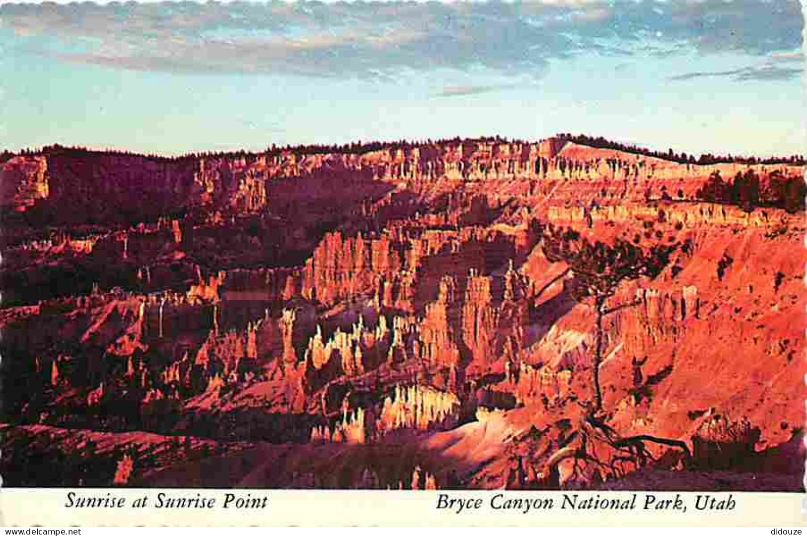 Etats Unis - Bryce Canyon National Park - Sunrise At Sunrise Point - Carte Neuve - CPM - Voir Scans Recto-Verso - Bryce Canyon
