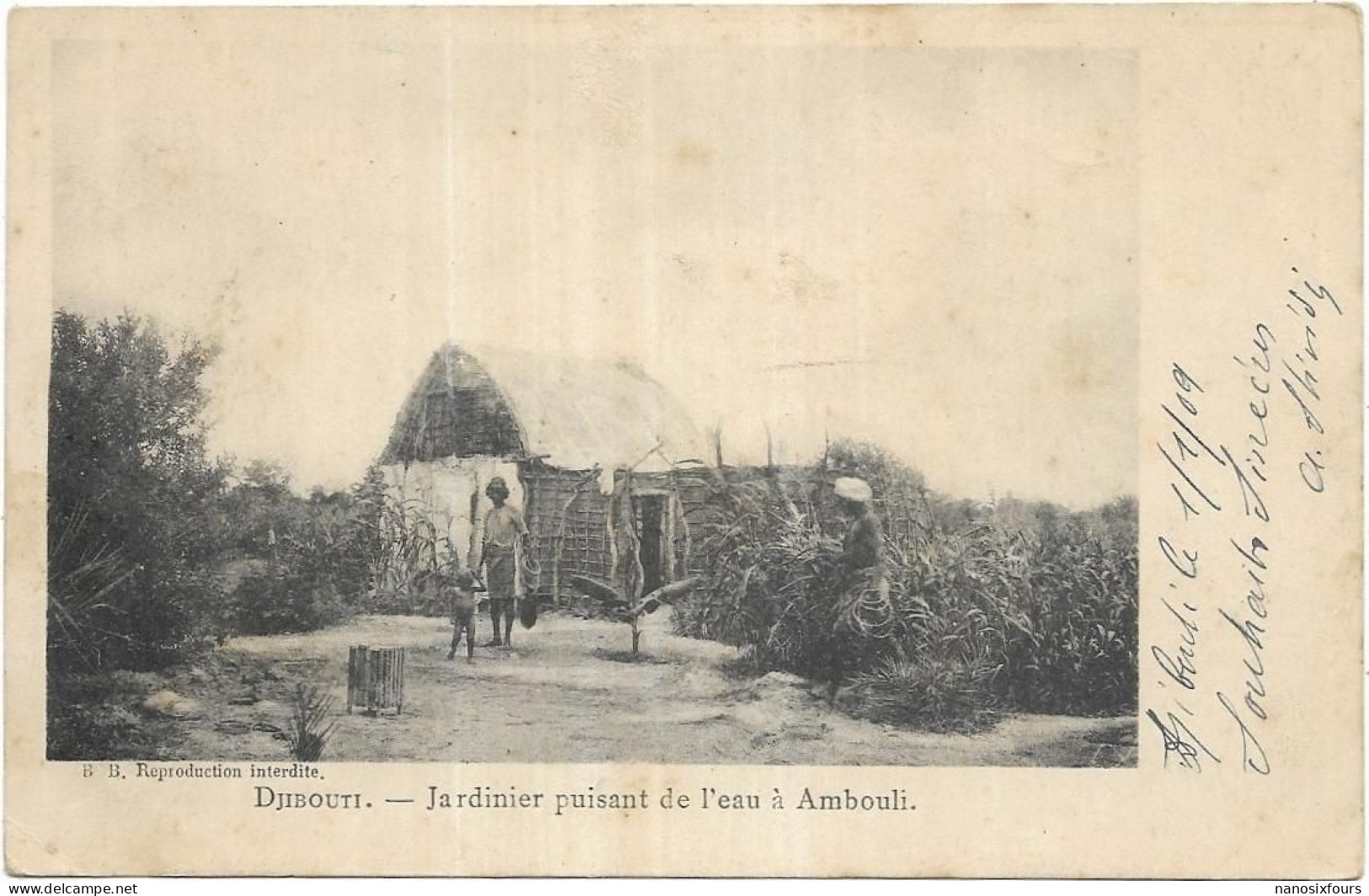 AFRIQUE.  DJIBOUTI.  JARDINIER PUISANT DE L EAU A  AMBOULI  CARTE ECRITE AN 1909 - Djibouti