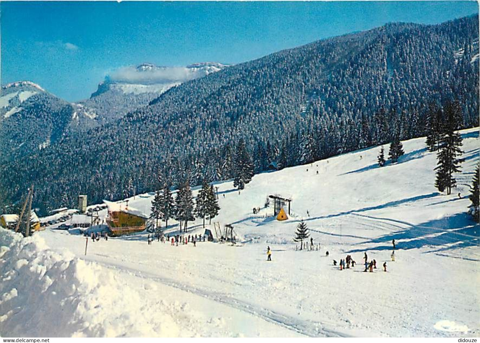 38 - Saint Pierre D'Entremont - Les Pistes De Skis Du Planolet. Au Fond, Les Lances De Malissard - Hiver - Neige - CPM - - Saint-Pierre-d'Entremont