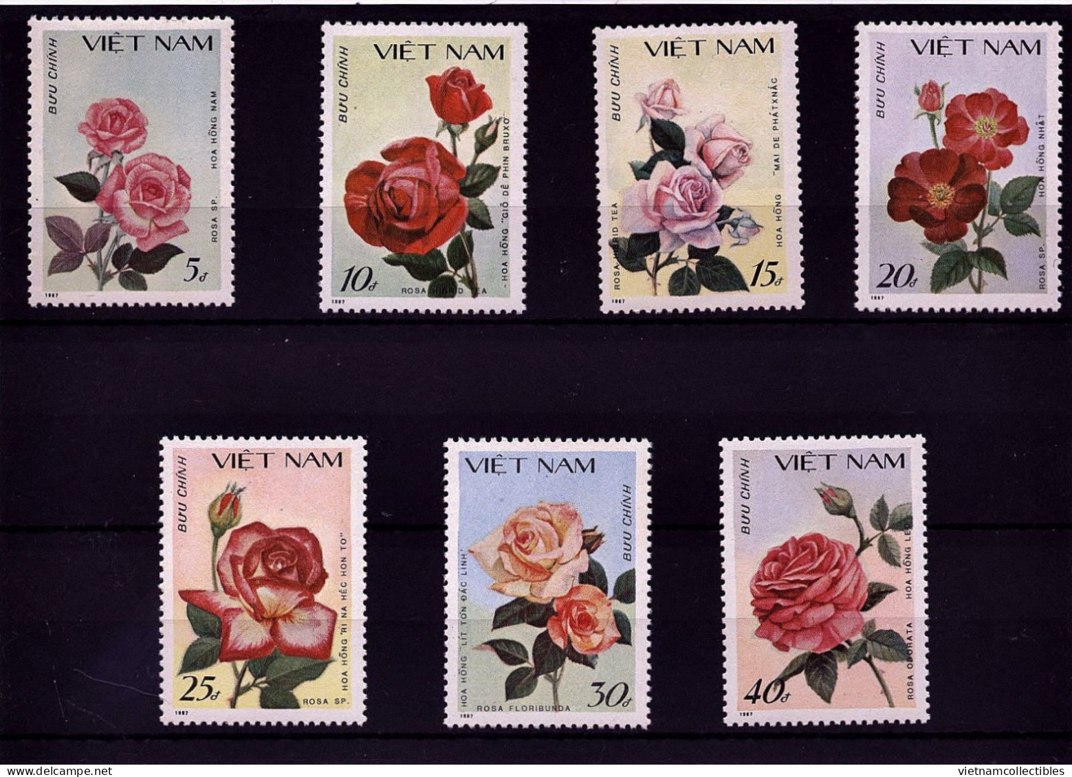 Vietnam Viet Nam MNH Perf Stamps 1988 : Rose / Flower (Ms537) - Viêt-Nam