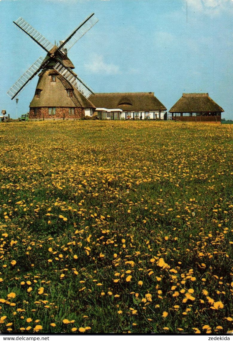 H1129 - TOP Dorf Mecklenburg Holländermühle Windmühle - Bild Und Heimat Reichenbach - Windmills