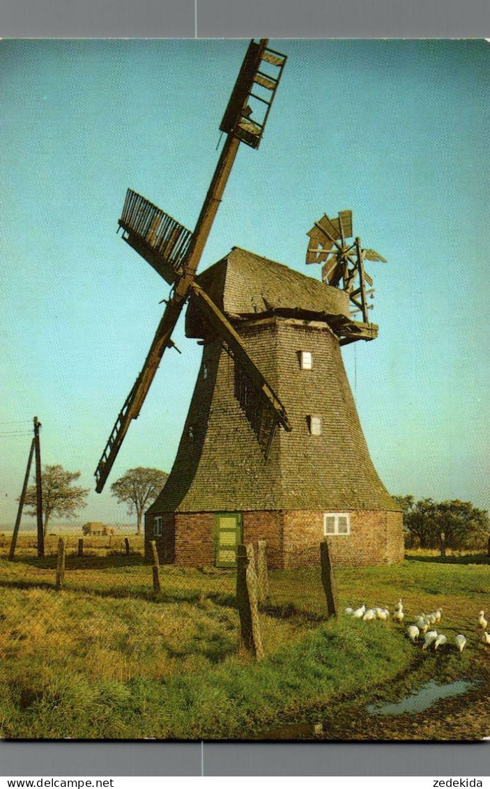 H1133 - Rövershagen Holländermühle Windmühle - Bild Und Heimat Reichenbach - Windmühlen