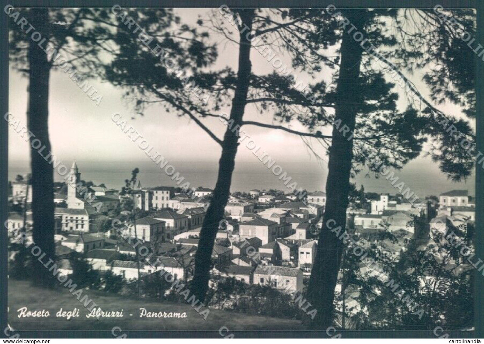 Teramo Roseto Degli Abruzzi PIEGA Foto FG Cartolina JK1809 - Teramo