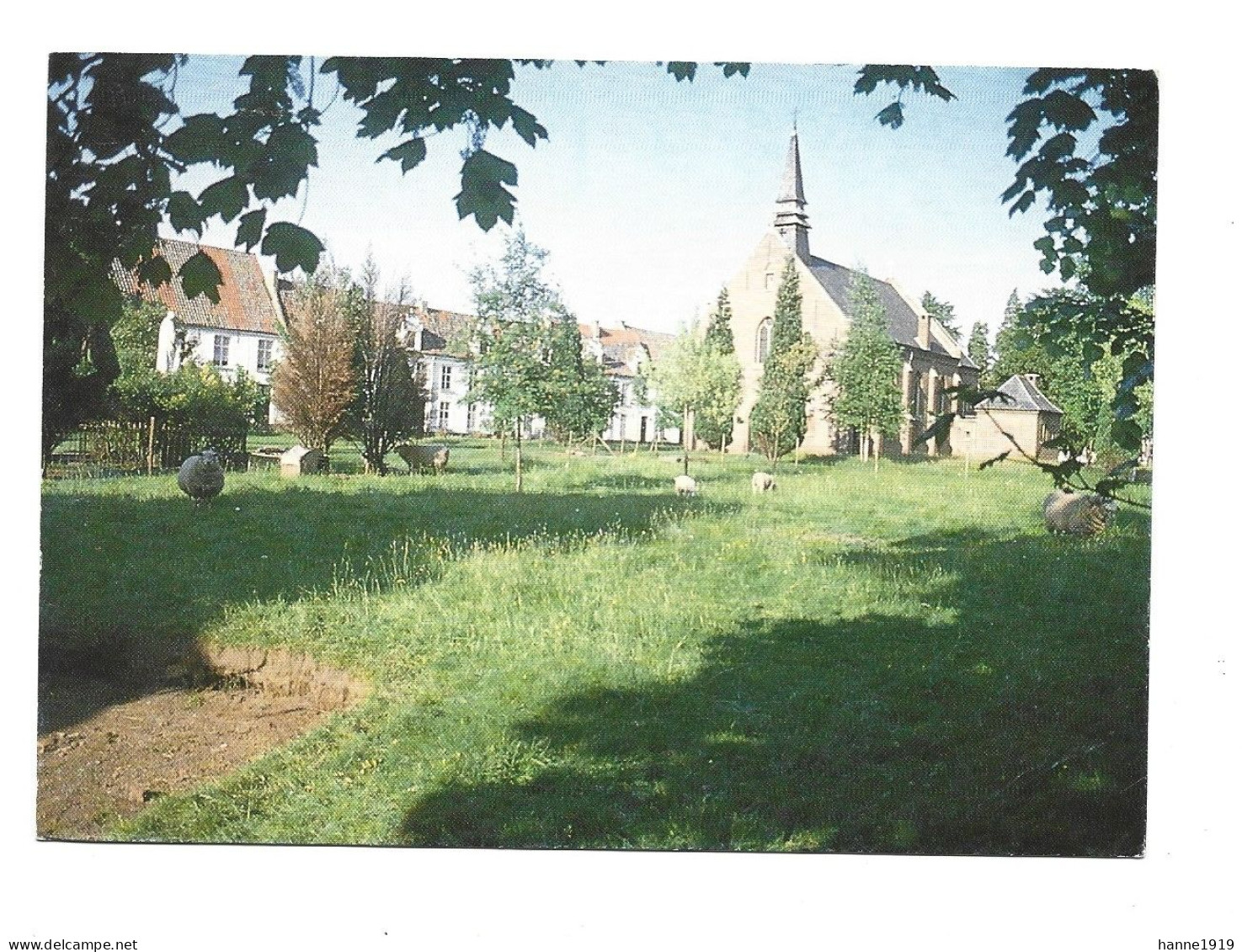 Dendermonde Begijnhof Schapenweide Begijnhofkerk Foto Prentkaart Htje - Dendermonde