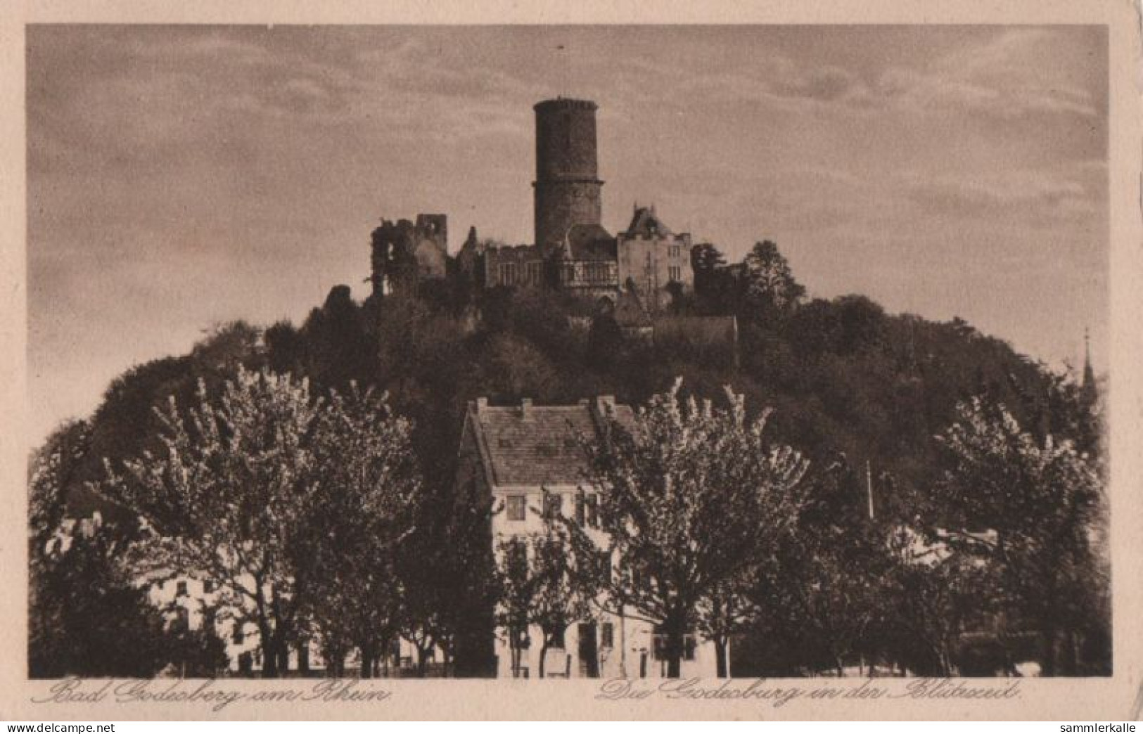 46370 - Bonn-Bad Godesberg - Godesburg In Blütezeit - 1928 - Bonn