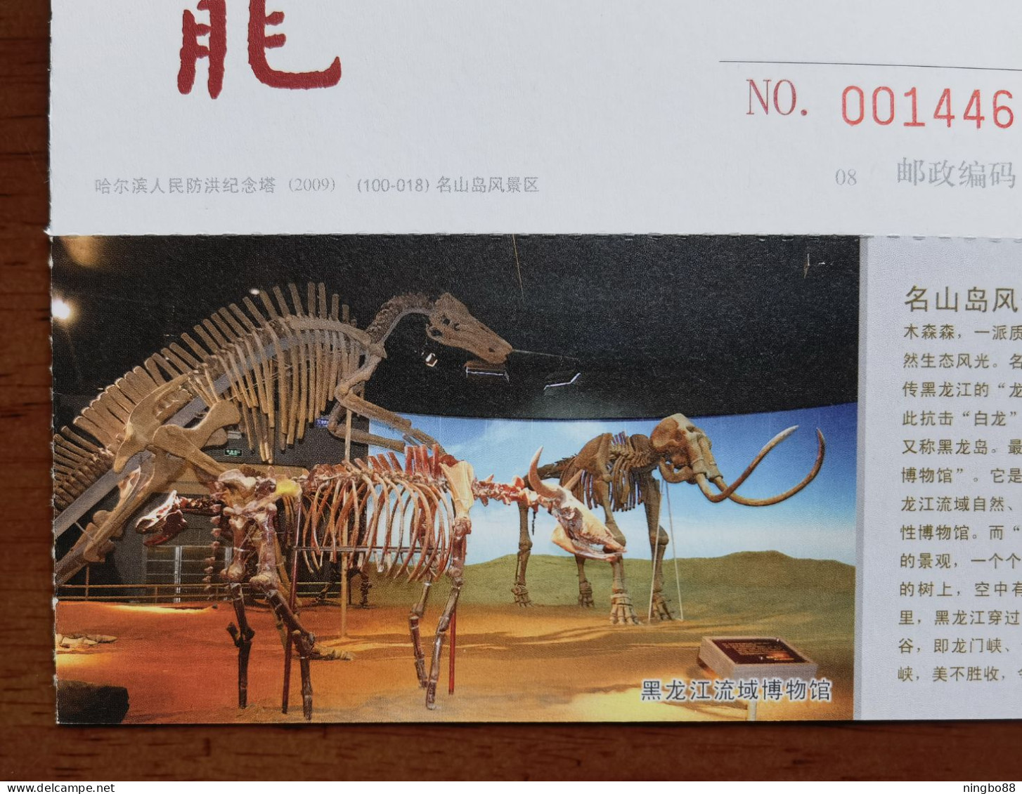Coelodonta Antiquitatis,Mammuthus Sungari Fossil,dinosaur,Bubalus Wangsjoki,CN 10 Heilongjiang Watershed Museum PSC - Fossils