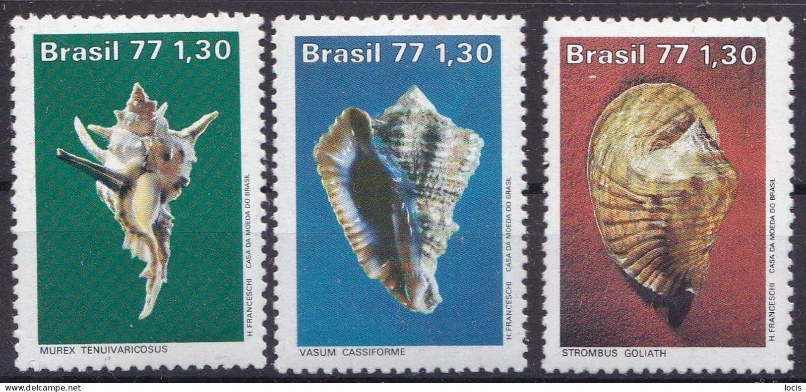 BRAZIL 1977 MNH** - Coneshells