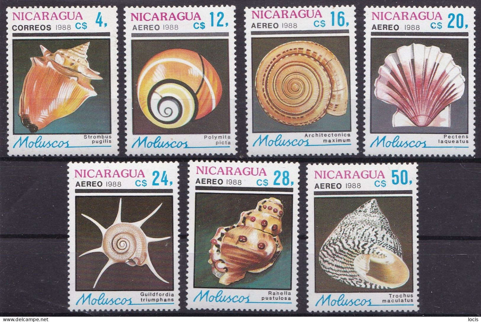 NICARAGUA 1988 MNH** - Conchas