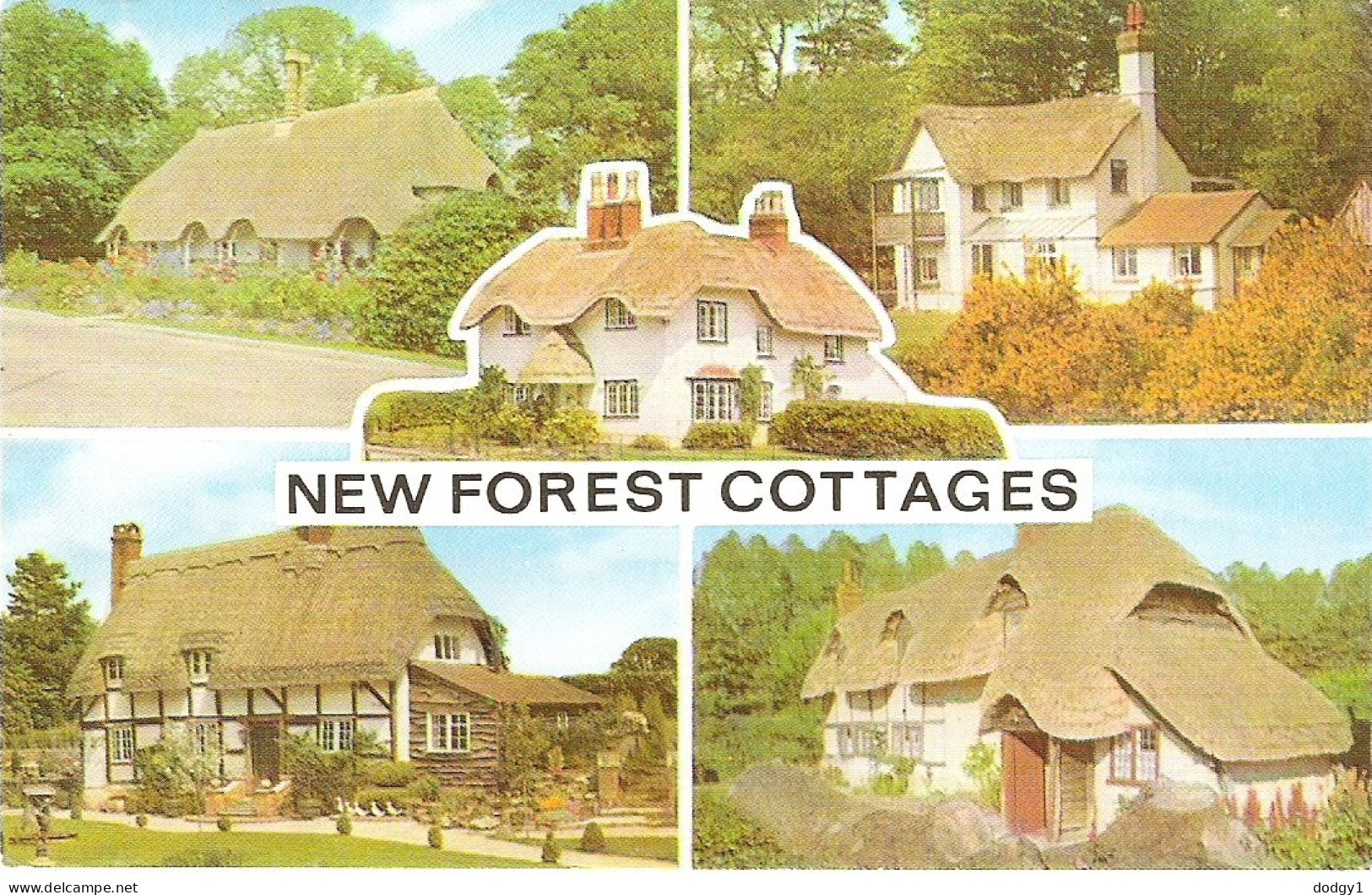 SCENES FROM THE NEW FOREST, HAMPSHIRE. Circa 1980 USED POSTCARD M4 - Other & Unclassified