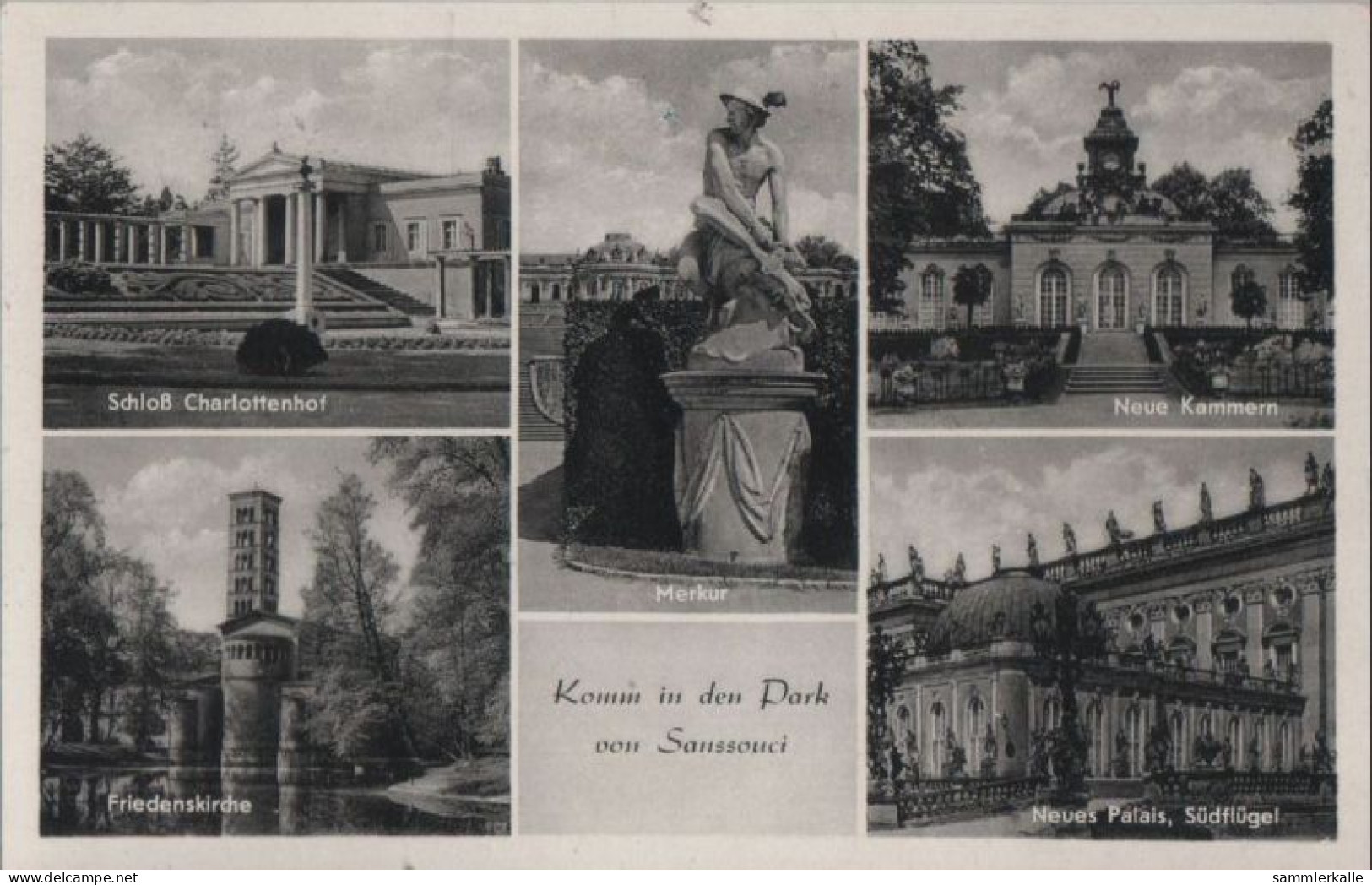 61816 - Potsdam - Park Von Sanssouci - 1962 - Potsdam