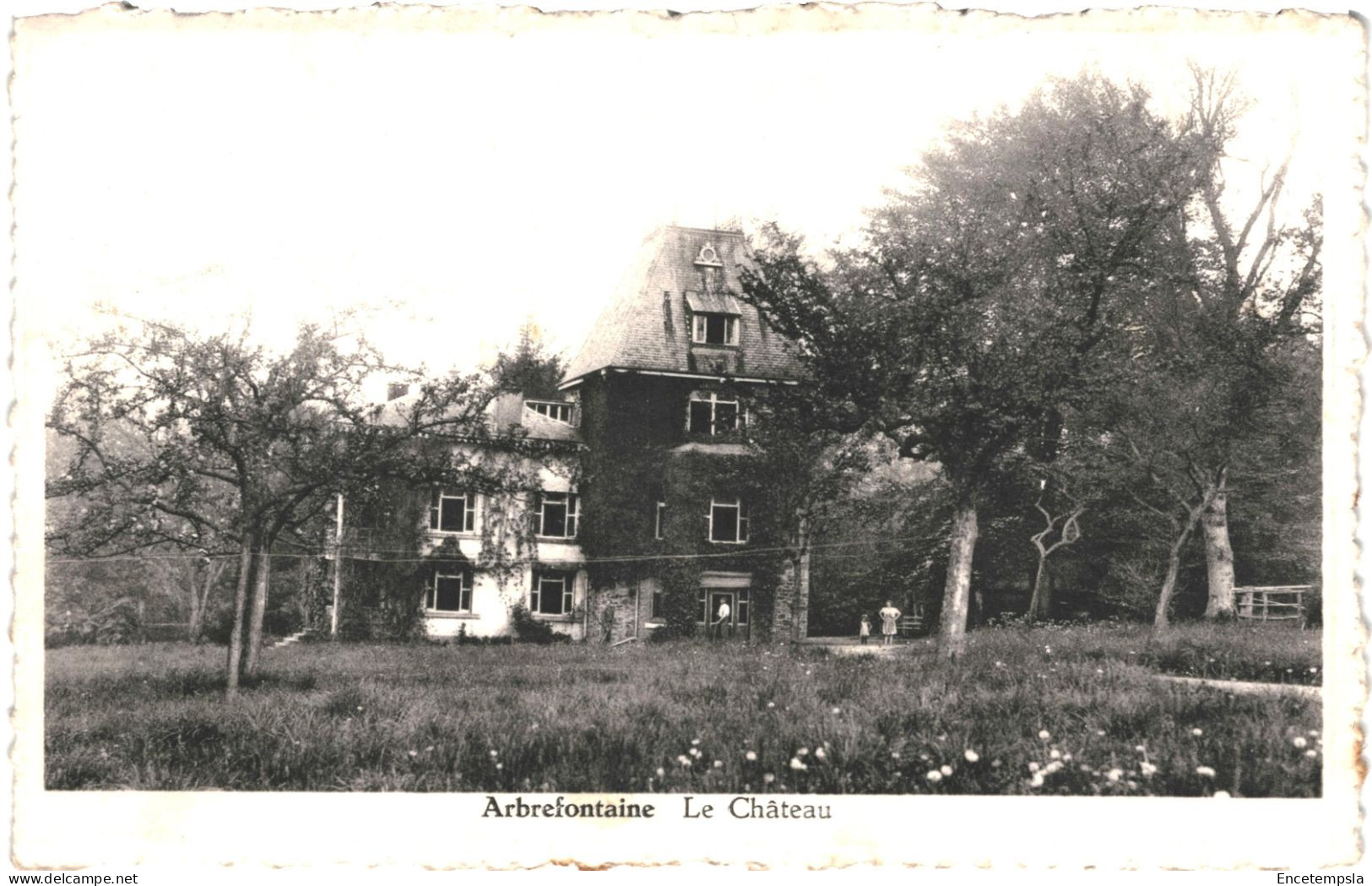 CPA Carte Postale Belgique Arbrefontaine  Le Château VM79667 - Lierneux