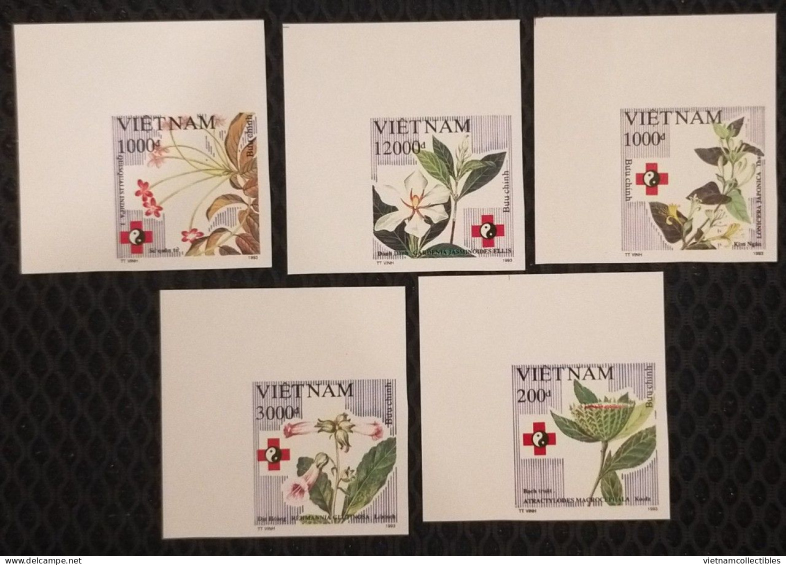 Vietnam Viet Nam MNH Imperf Stamps 1993 : Medical Herbs / Plant / Flower / Flora - Scott#2429-2433 (Ms660) - Vietnam