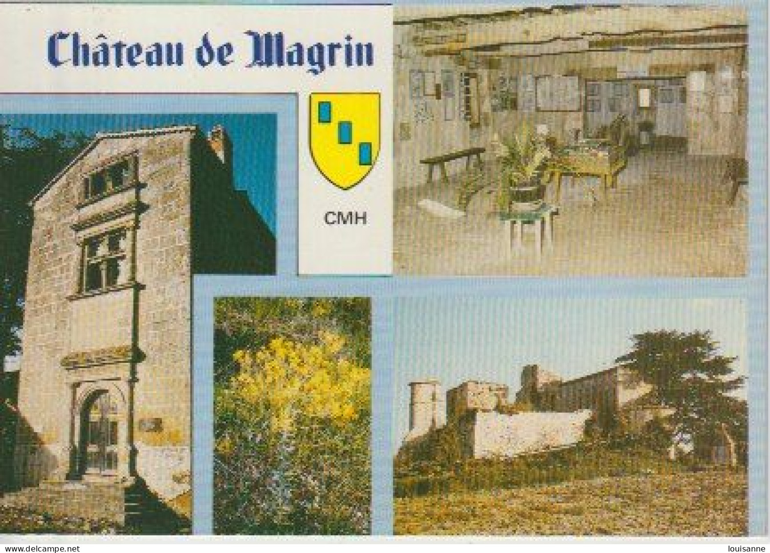 CHÂTEAU  DE  MAGRIN  ( 81 )   C  P  M   4  VUES ( 24 / 4 / 68  ) - Kastelen
