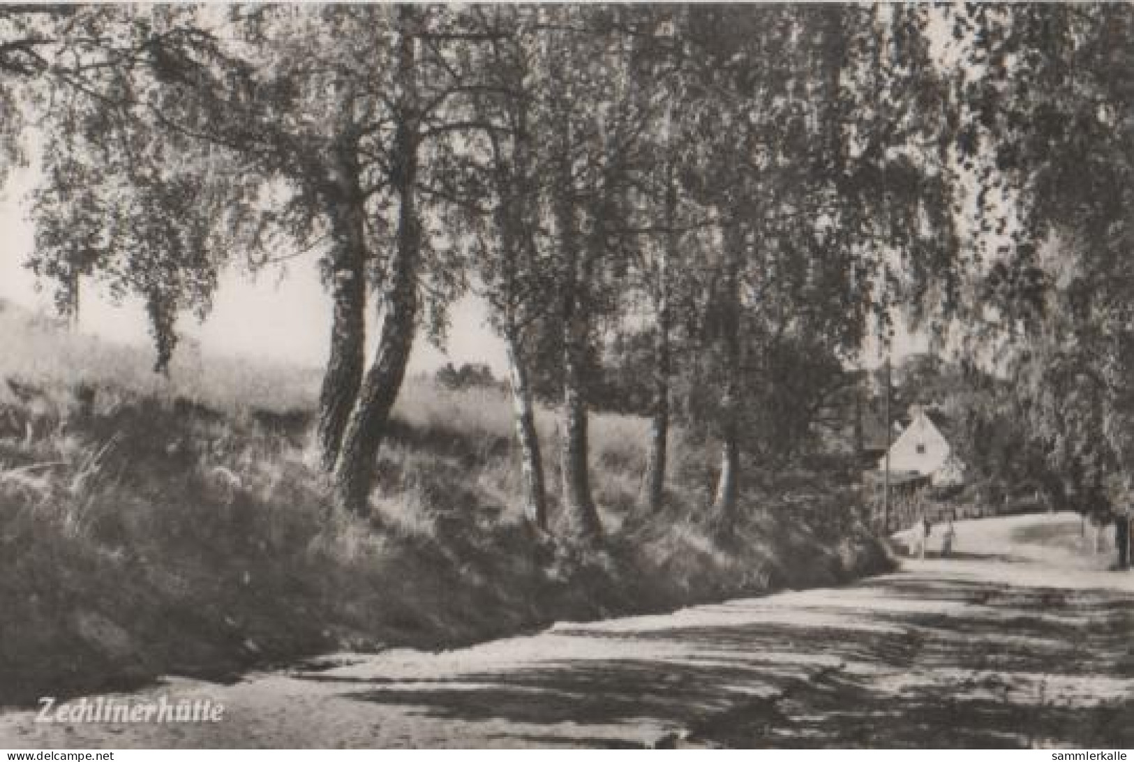 11916 - Zechlinerhütte - Ca. 1965 - Rheinsberg