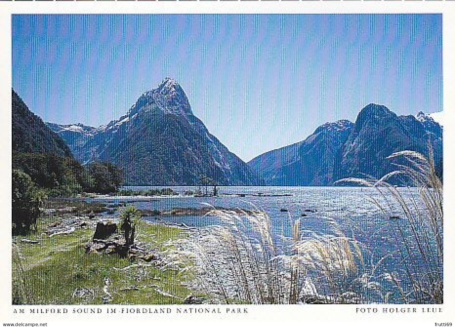 AK 212793 NEW ZEALAND -Am Milford Sound Im Fjordland National Park - Neuseeland