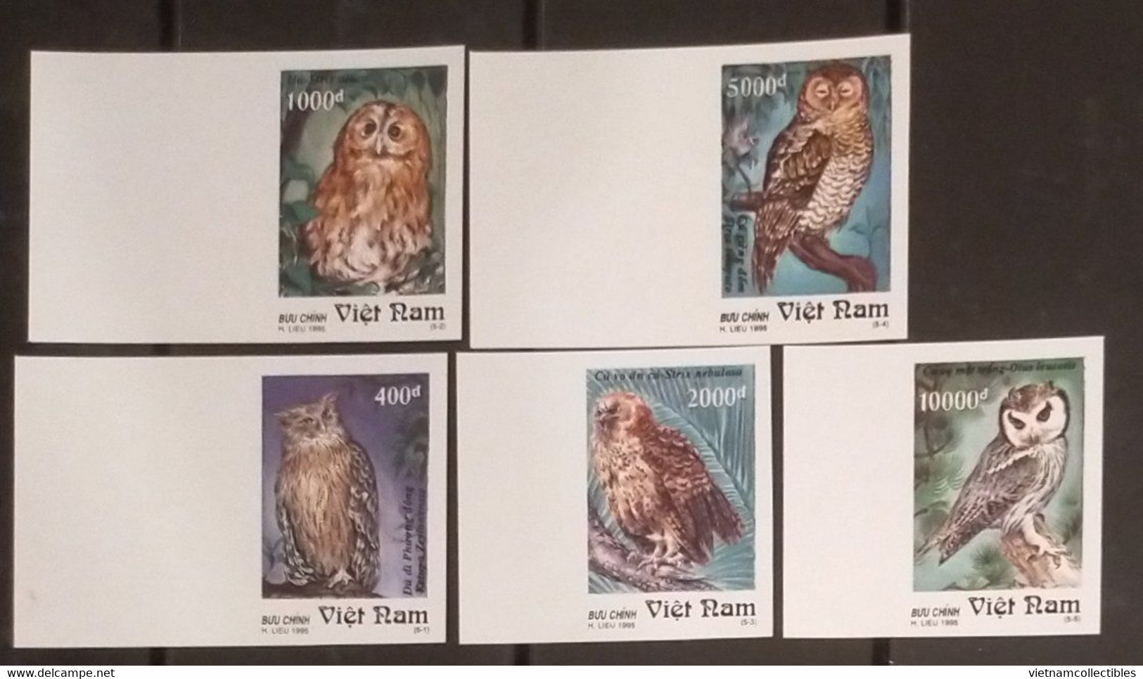 Vietnam Viet Nam MNH Imperf Stamps 1995 : Owls / Owl / Bird (Ms702) - Viêt-Nam