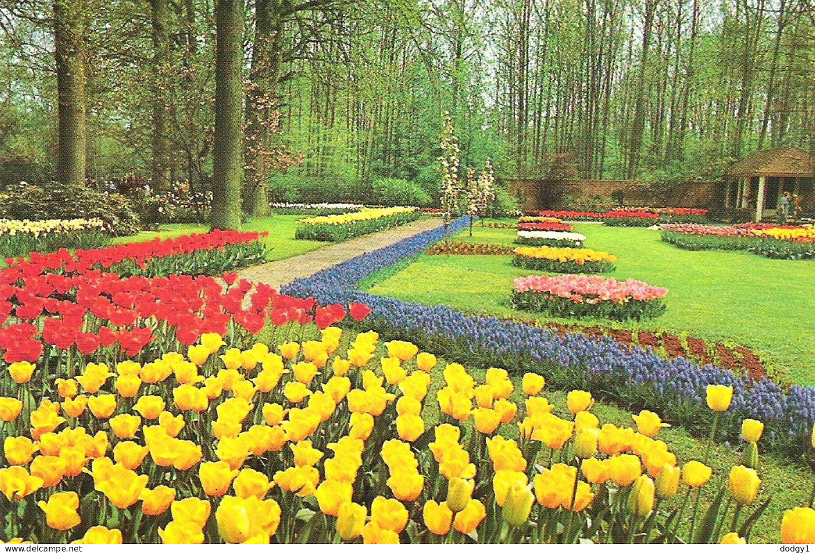 BEAUTIFUL GARDENS, LISSE, HOLLAND. UNUSED POSTCARD M5 - Lisse