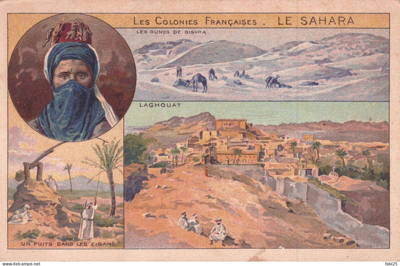 LES COLONIES FRANCAISES LE SAHARA - Westelijke Sahara