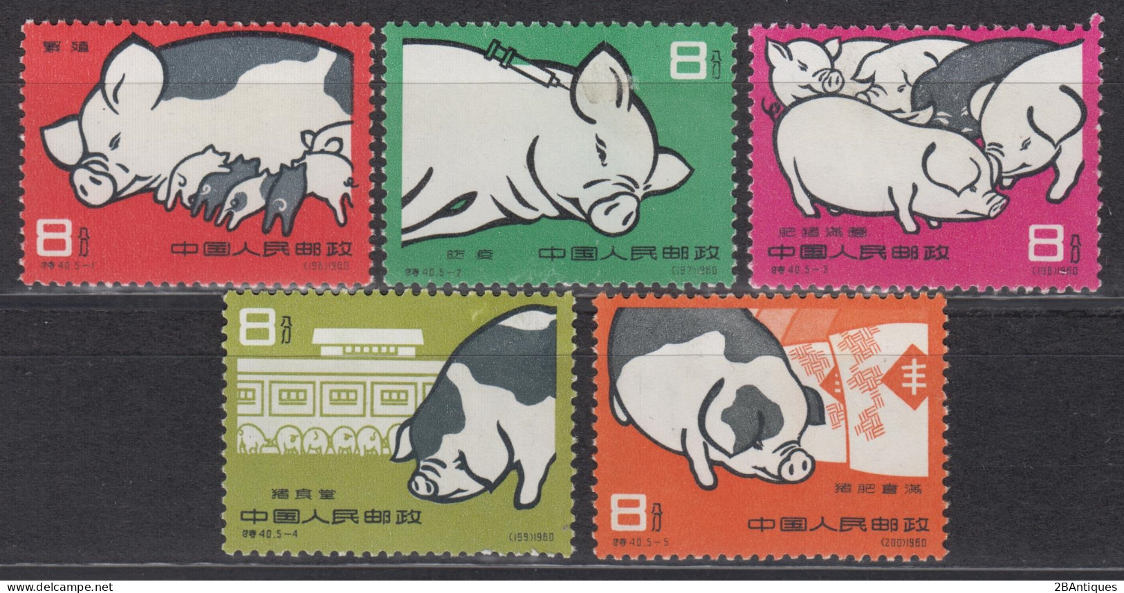 PR CHINA 1960 - Pig-breeding MNH** OG - Ungebraucht