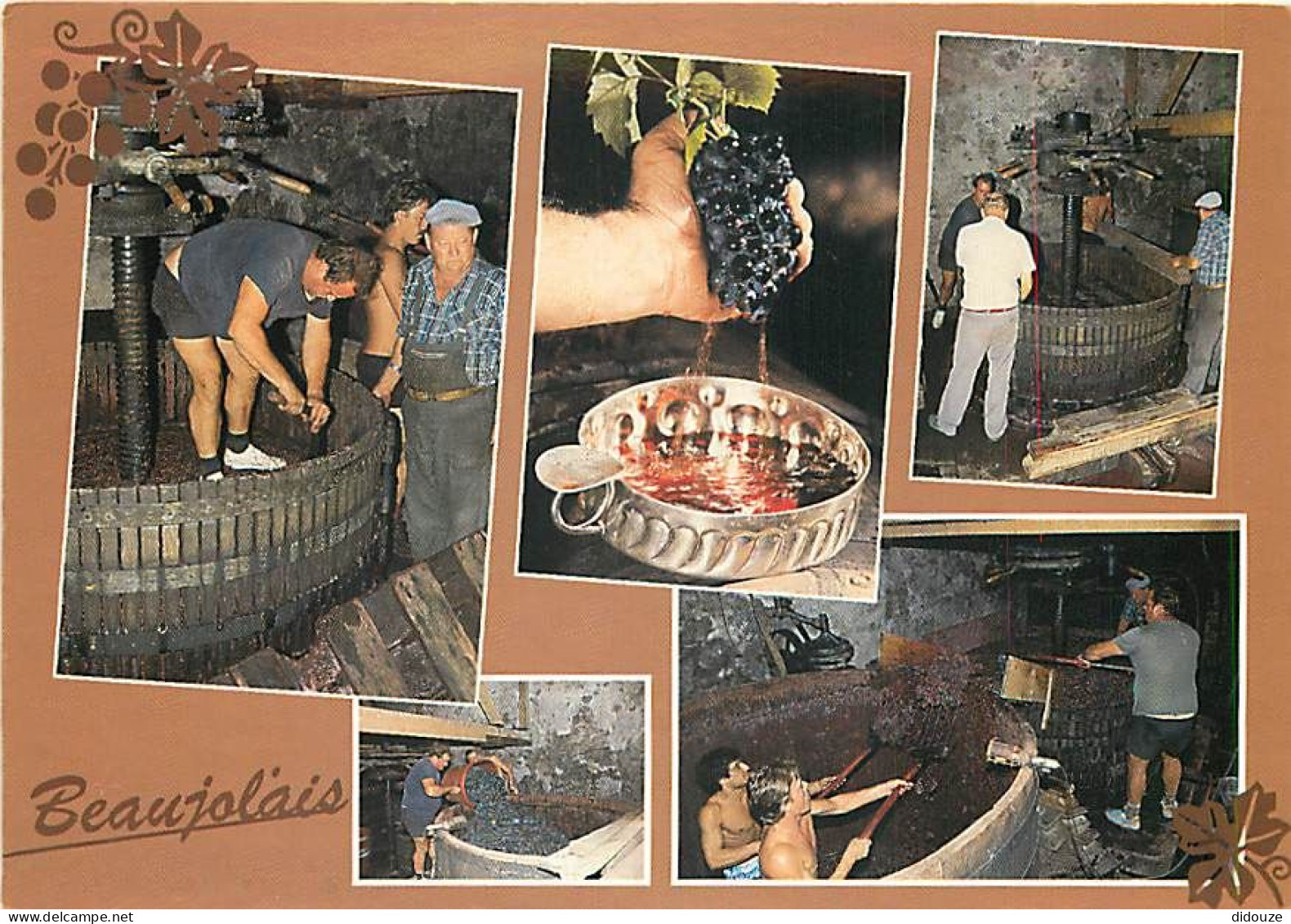 Vignes - Beaujolais - Multivues - Pressoir - CPM - Carte Neuve - Voir Scans Recto-Verso - Vignes