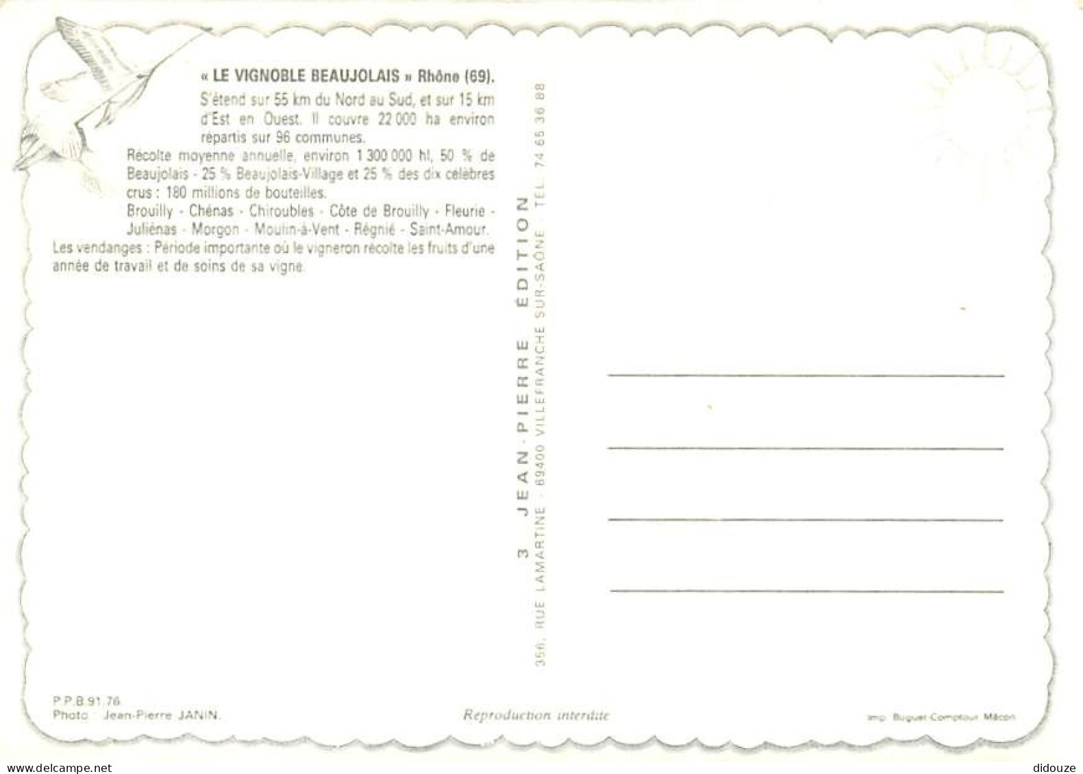 Vignes - Beaujolais - Multivues - Pressoir - CPM - Carte Neuve - Voir Scans Recto-Verso - Vignes