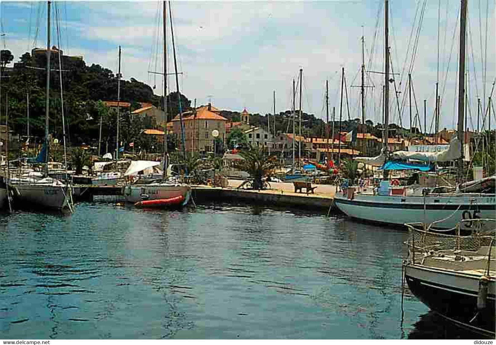 83 - Ile De Porquerolles - Carte Neuve - CPM - Voir Scans Recto-Verso - Porquerolles