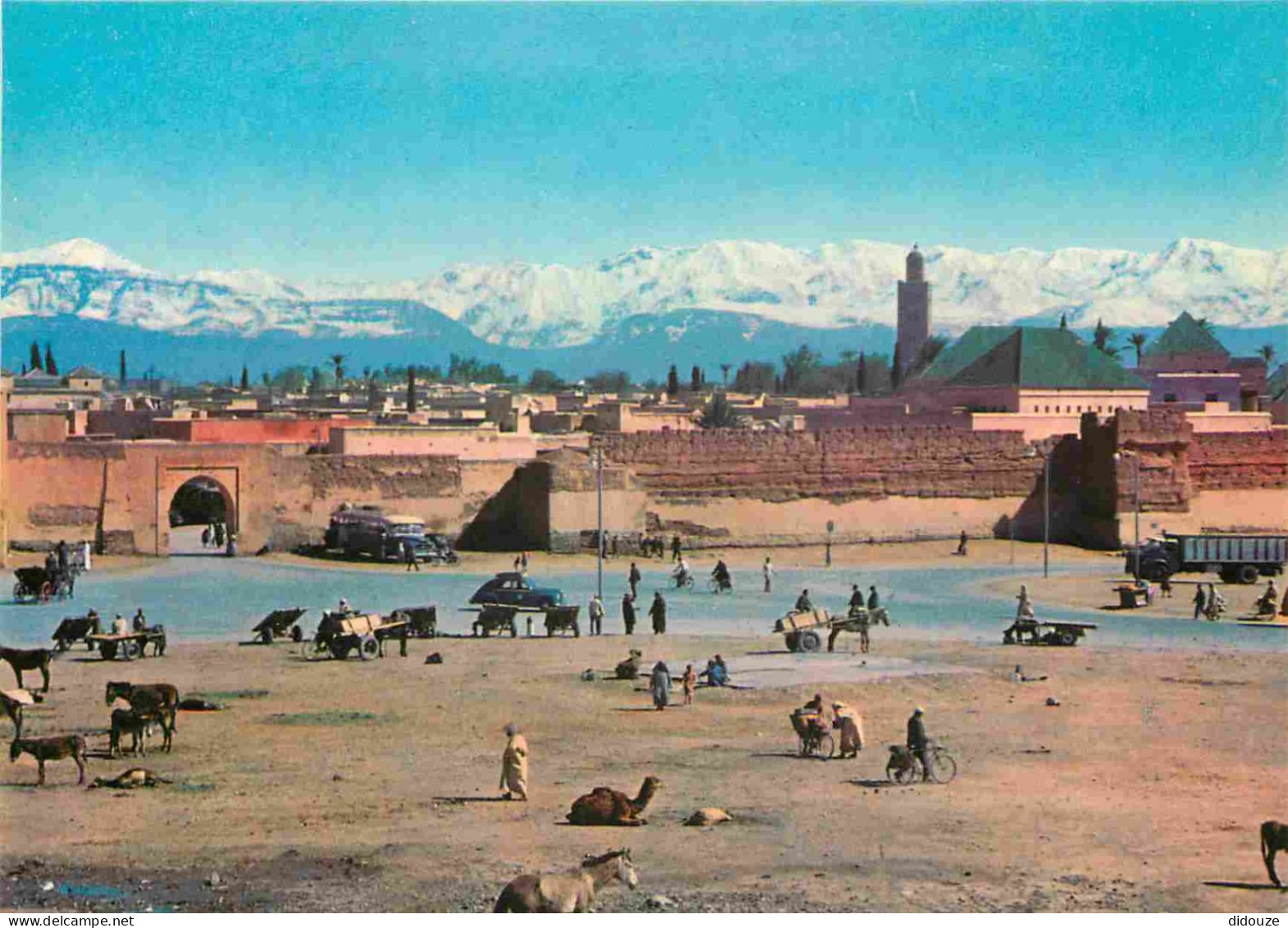 Maroc - Marrakech - Panorama à Bab Doukkala - CPM - Carte Neuve - Voir Scans Recto-Verso - Marrakech