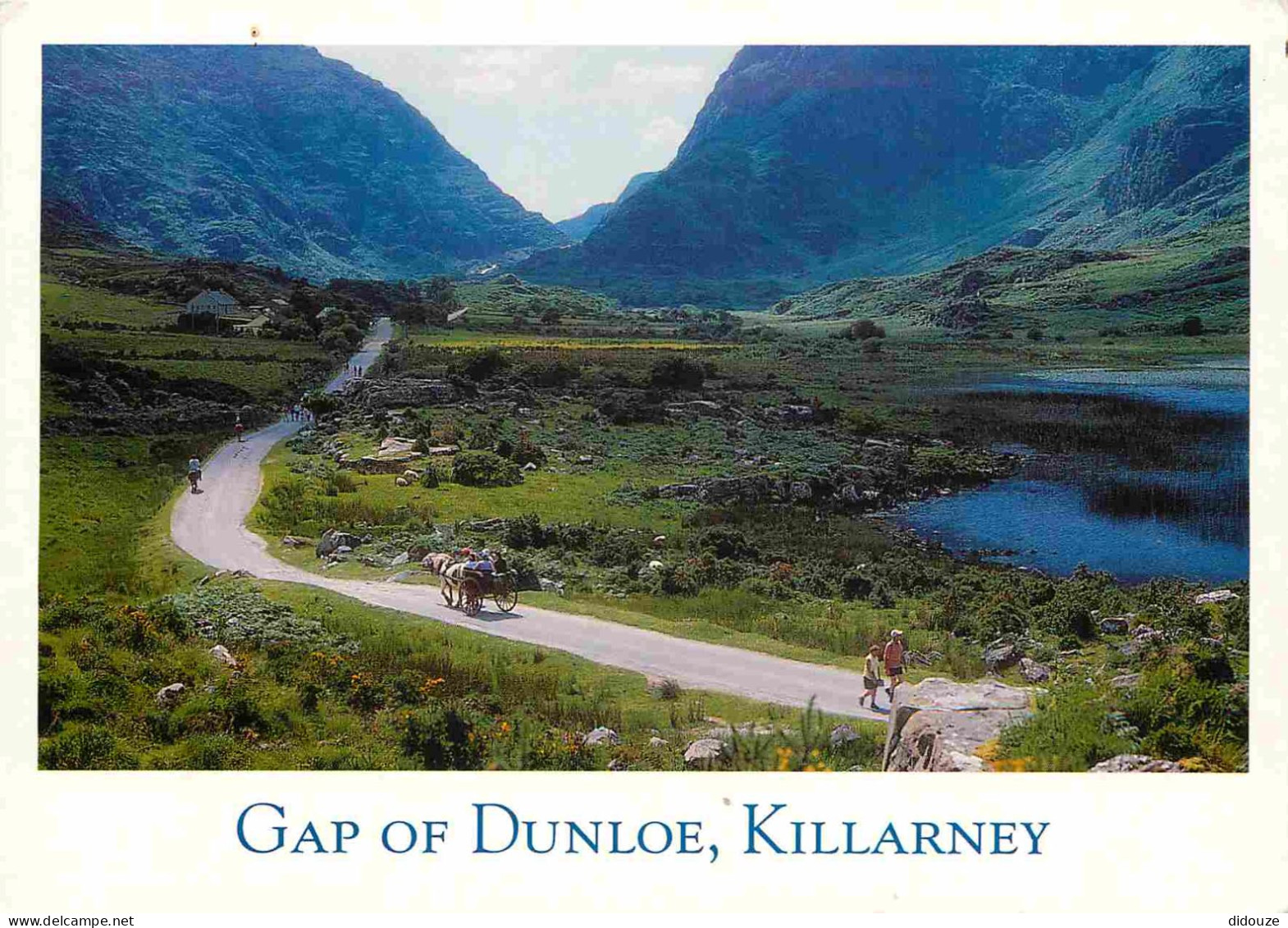 Irlande - Kerry - Killarney - Gap Of Dunloe - Attelage De Chevaux - CPM - Voir Scans Recto-Verso - Kerry