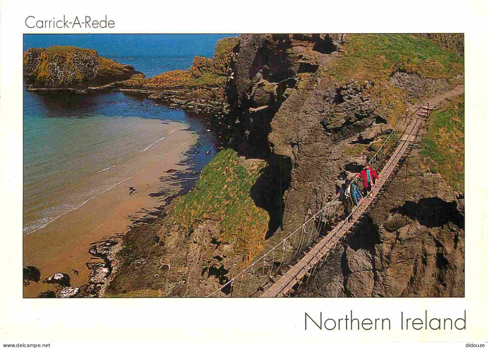 Irlande Du Nord - Antrim - Carrick-a-Rede - A Rope Bridge Used By Salmon Fishermen Spanning An 80 Ft Chasm - CPM - Carte - Antrim