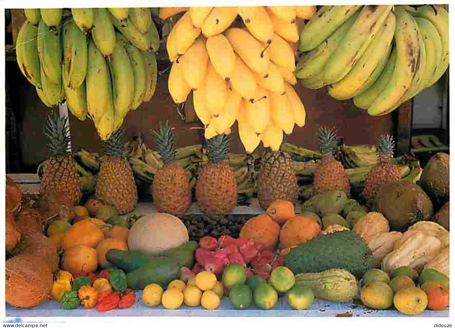 Antilles - Etalage Aux Mille Saveurs - Fruits Tropicaux - CPM - Voir Scans Recto-Verso - Other & Unclassified